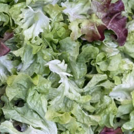 Salade lavée mixe 200gr