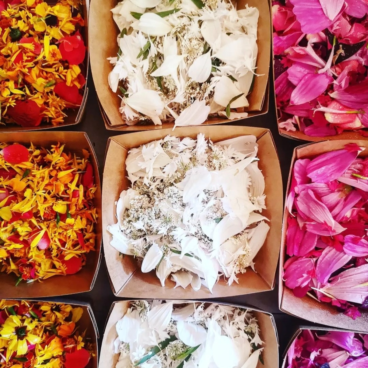 Mix de Pétales Multicolore