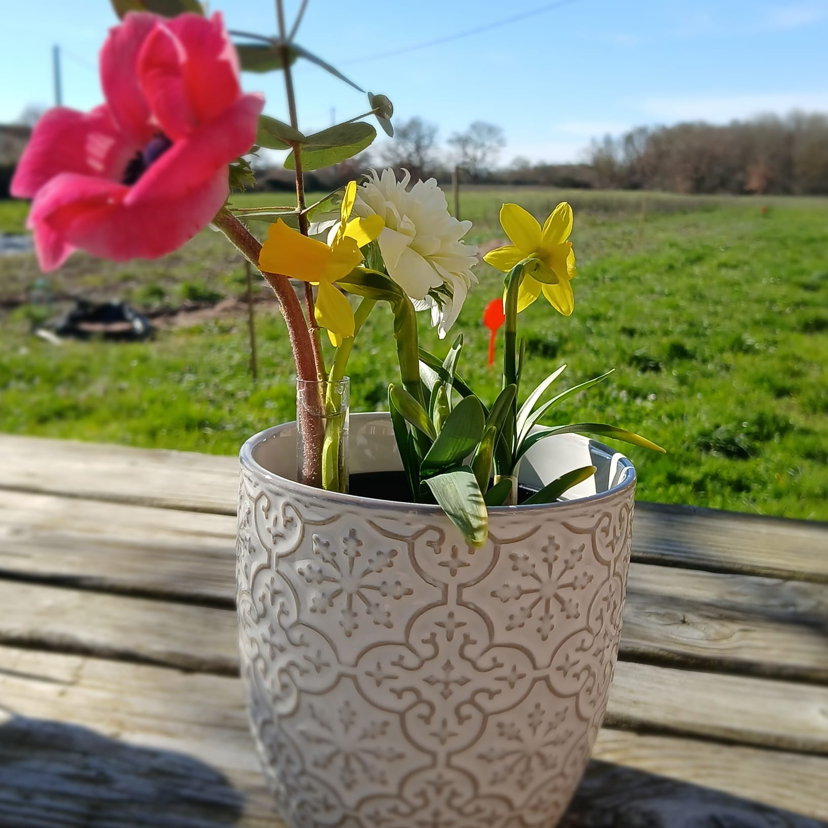 Potée de fleurs de printemps (petite, cache pot céramique)