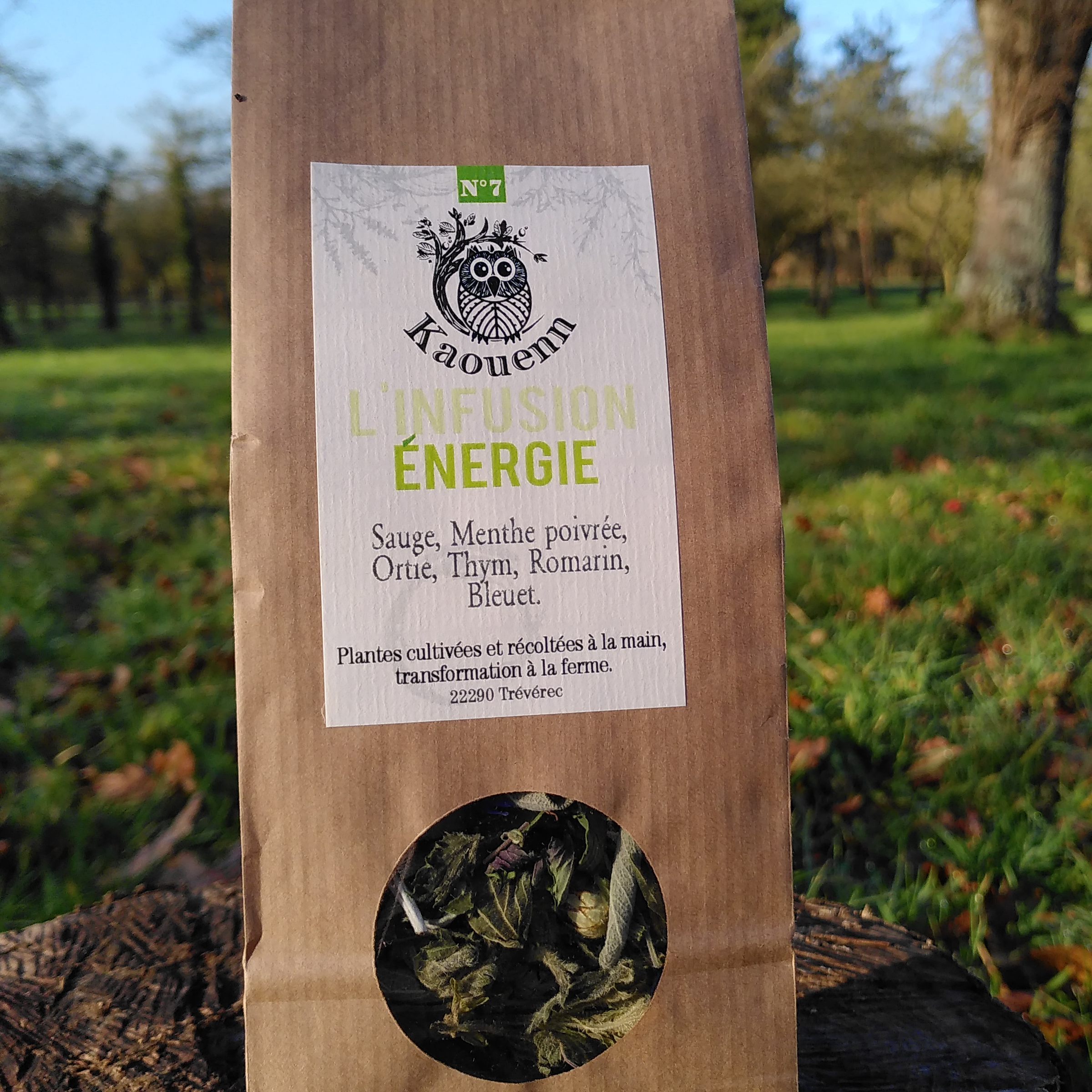 INFUSION ÉNERGIE - 25g