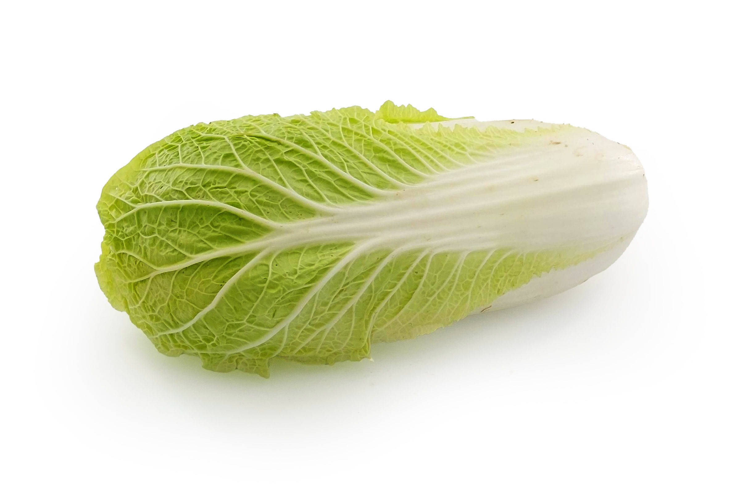 Chou chinois ‘Pé-Staï’ - 1kg