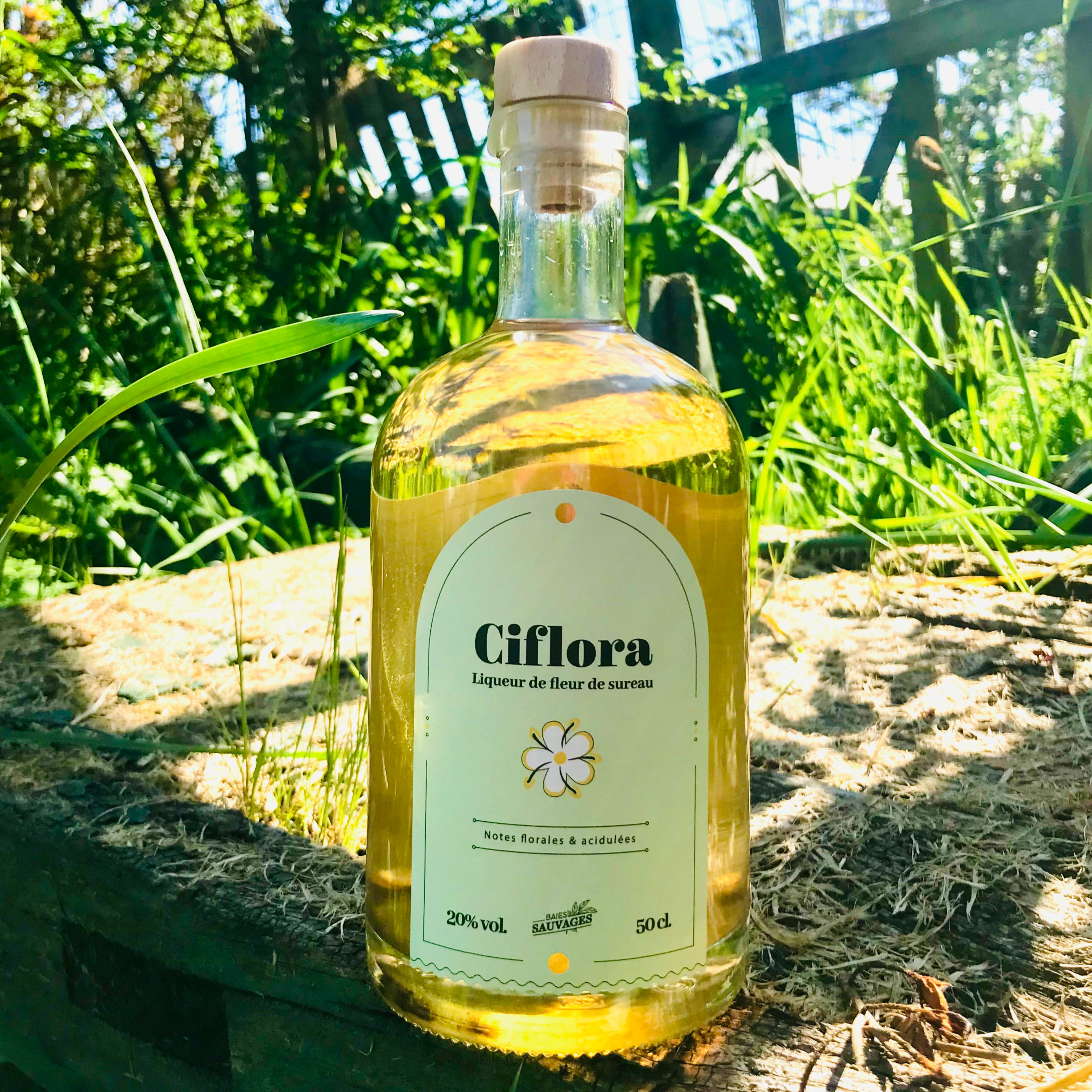 Liqueur de fleur de sureau - 500ml