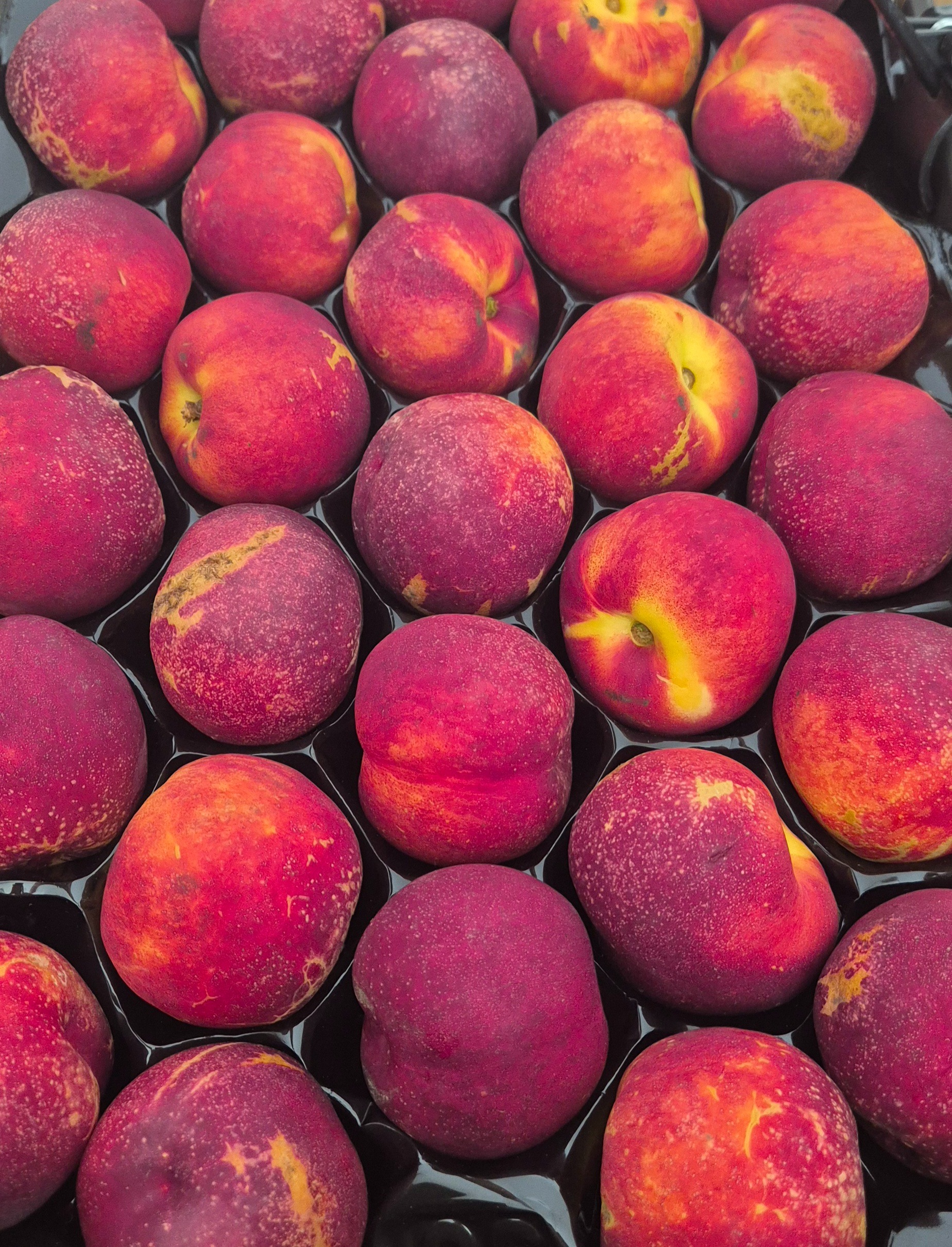 NECTARINES JAUNES - 1kg