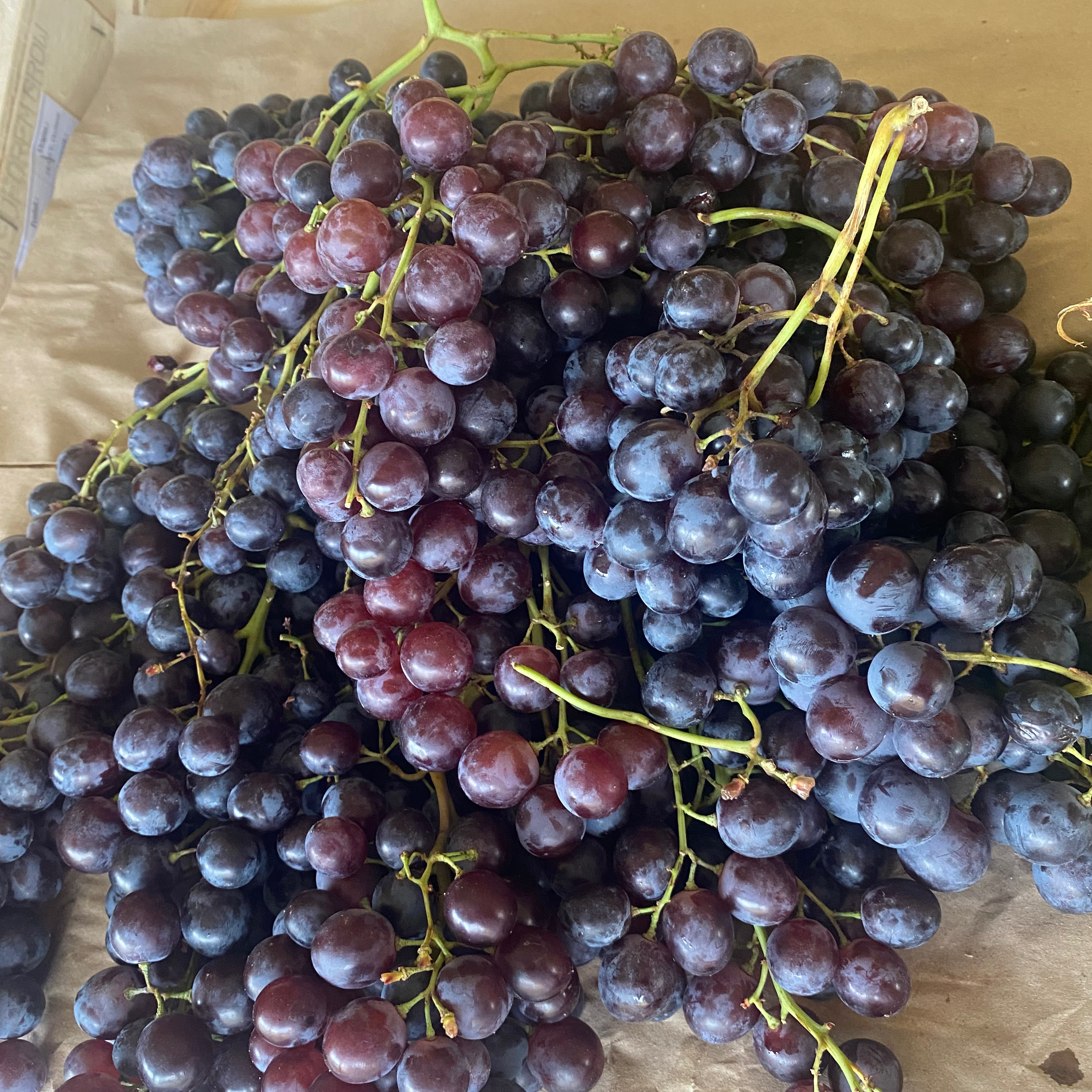 RAISIN MUSCAT /KG