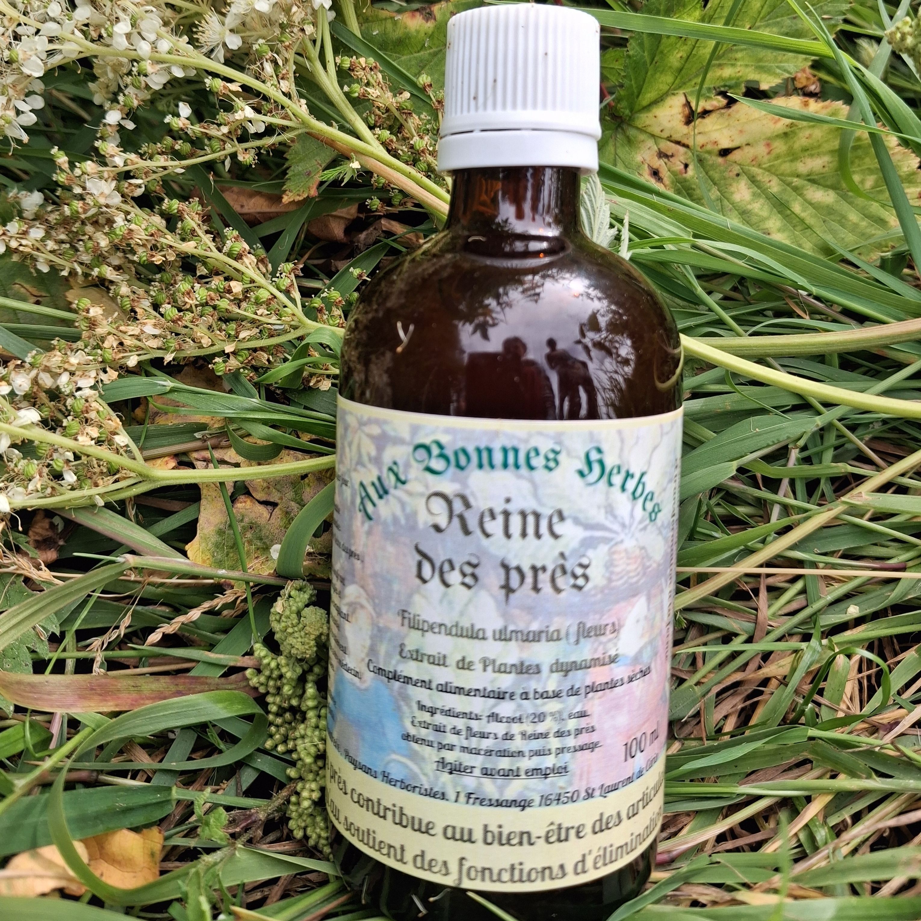 Reine des près - 100ml