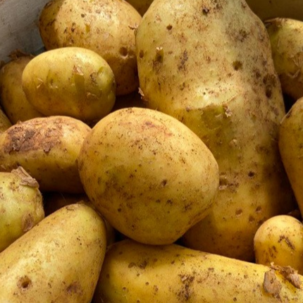 Cageot Pommes de Terre 10 kg