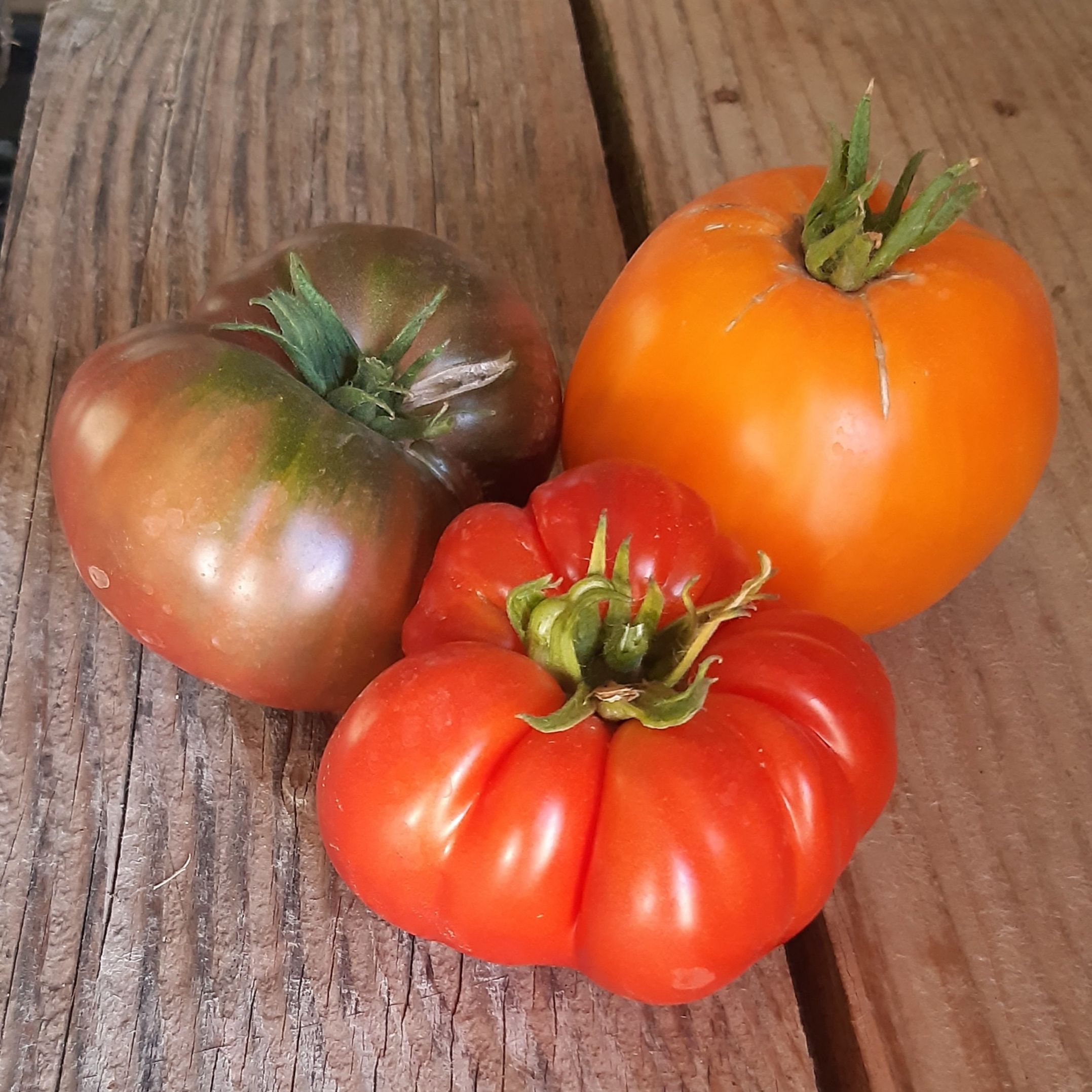 Tomates en mélange - 500g