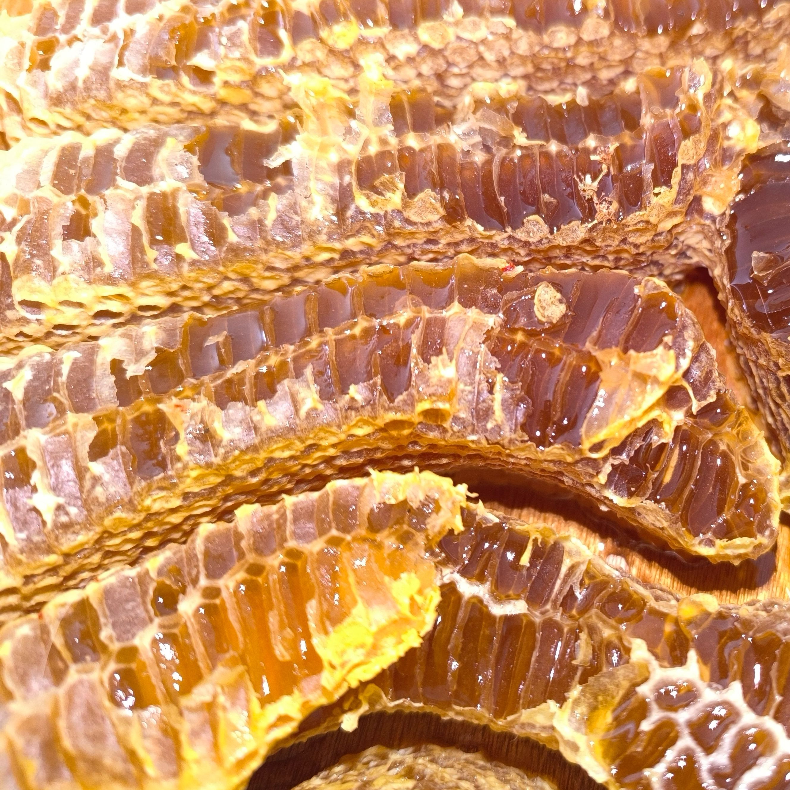 Brèches de miel