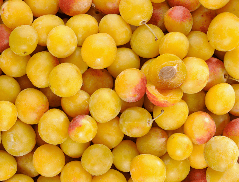Mirabelles