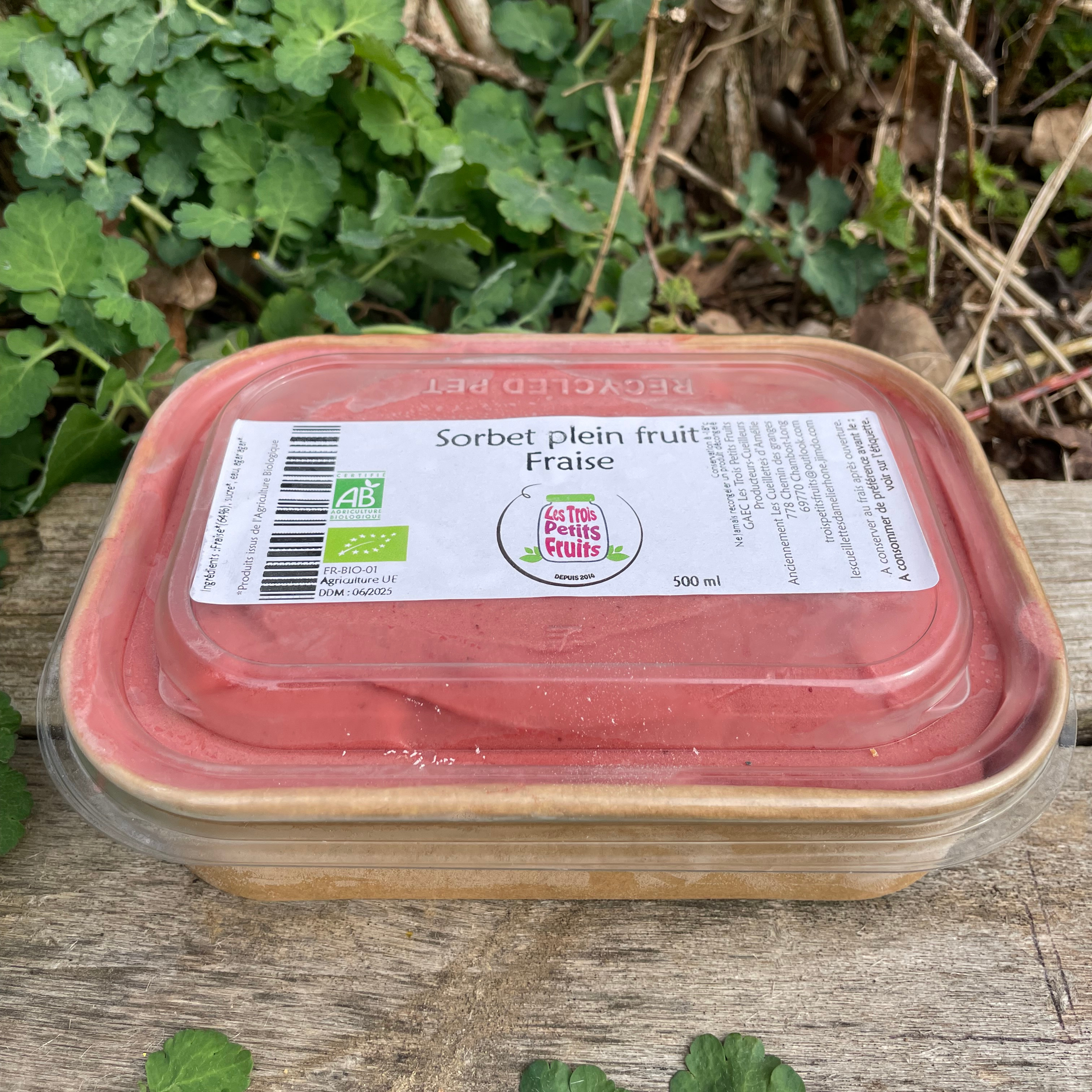 Sorbet plein fruit fraise 500ml