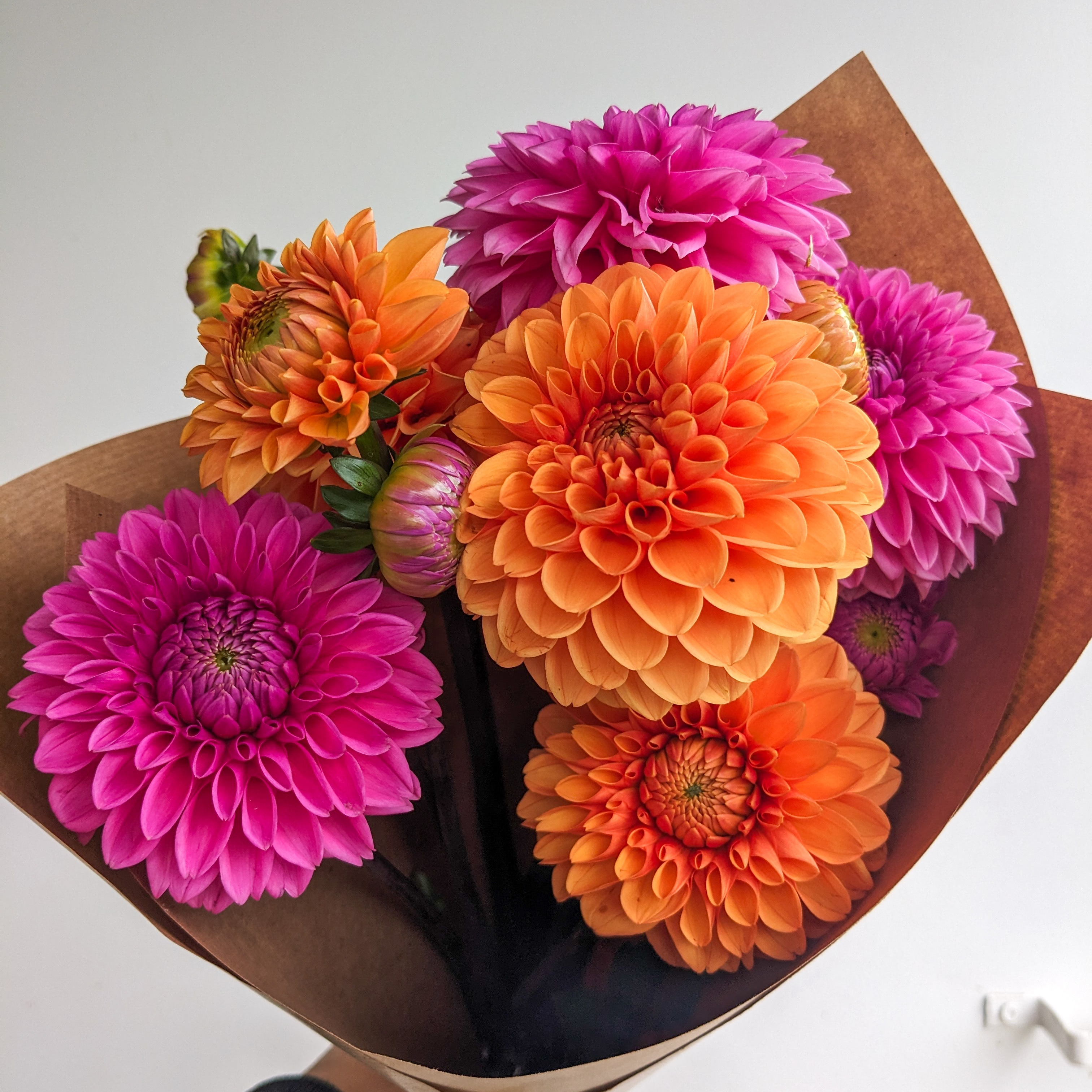 Botte de dahlias