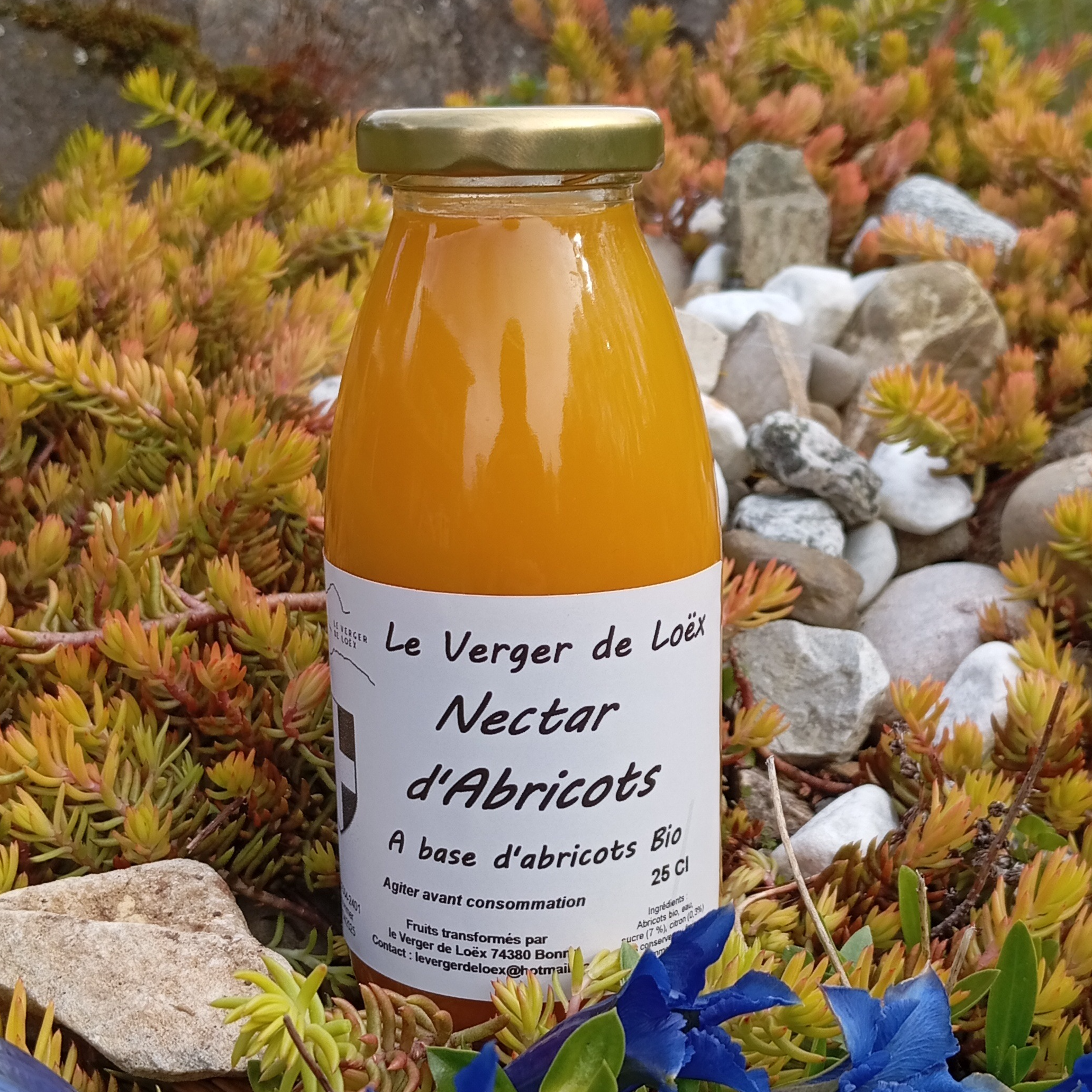 Nectar d'abricot BIO - 0,25L - 250ml
