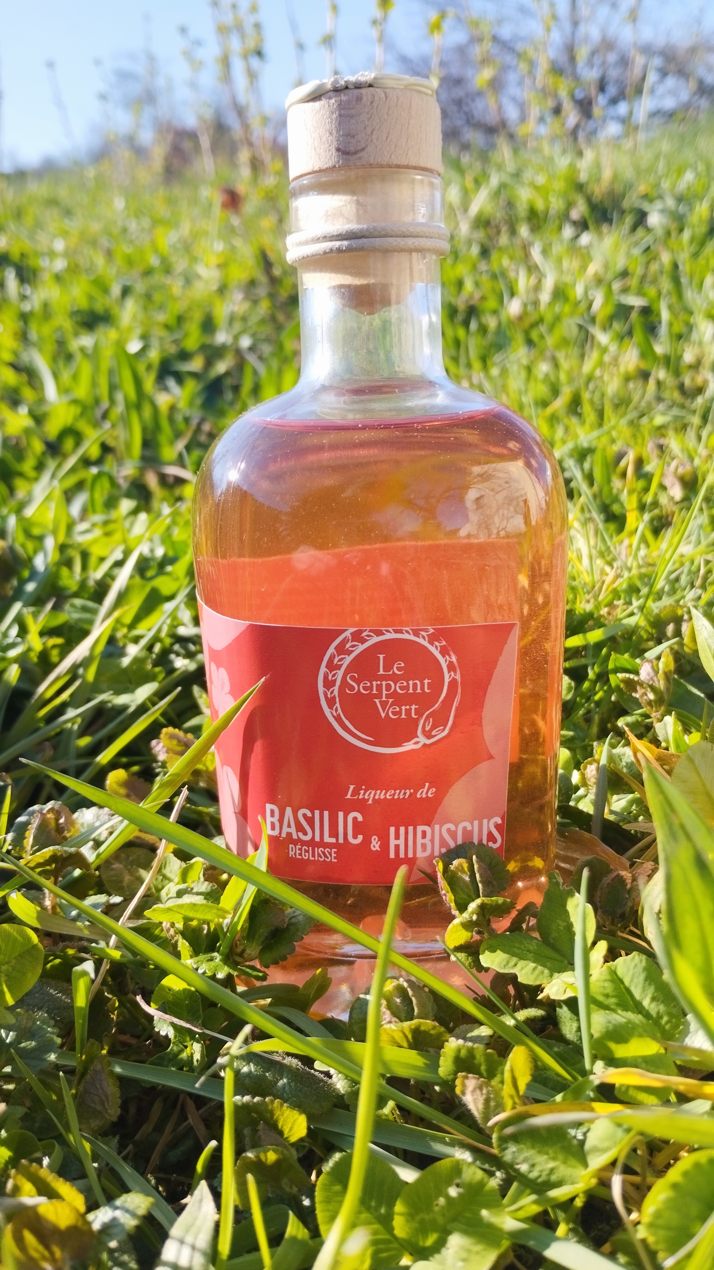 LIQUEUR BASILIC REGLISSE ET HIBISCUS - 35cl
