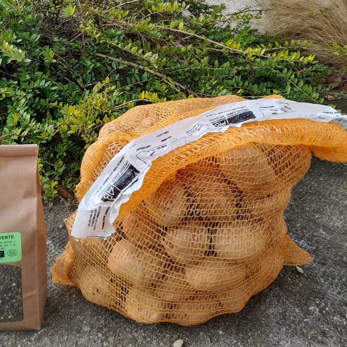 POMMES DE TERRE BIO - 10kg