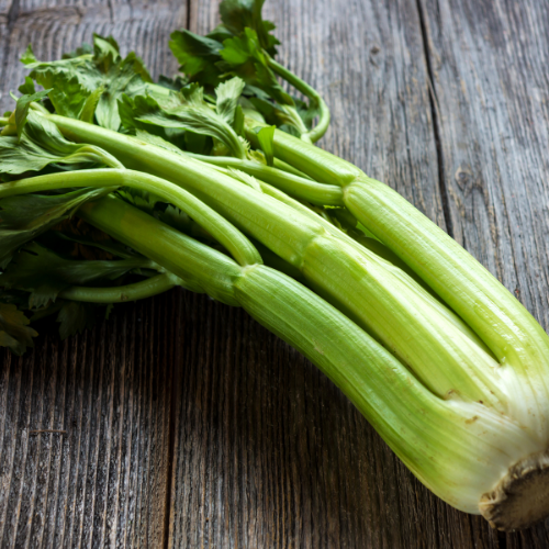CÉLERI BRANCHE Bio