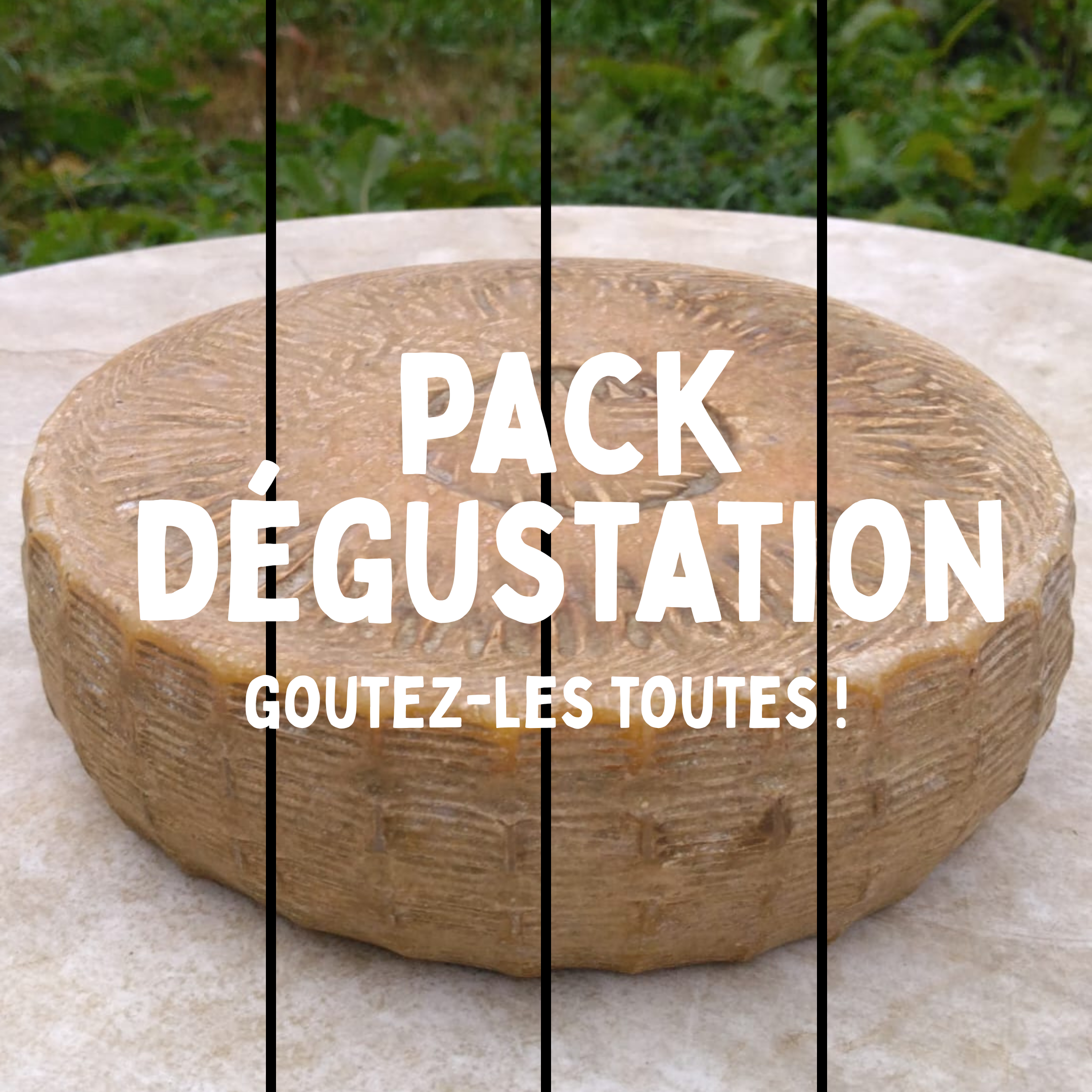 Pack dégustation - Tome au lait entier - 400g