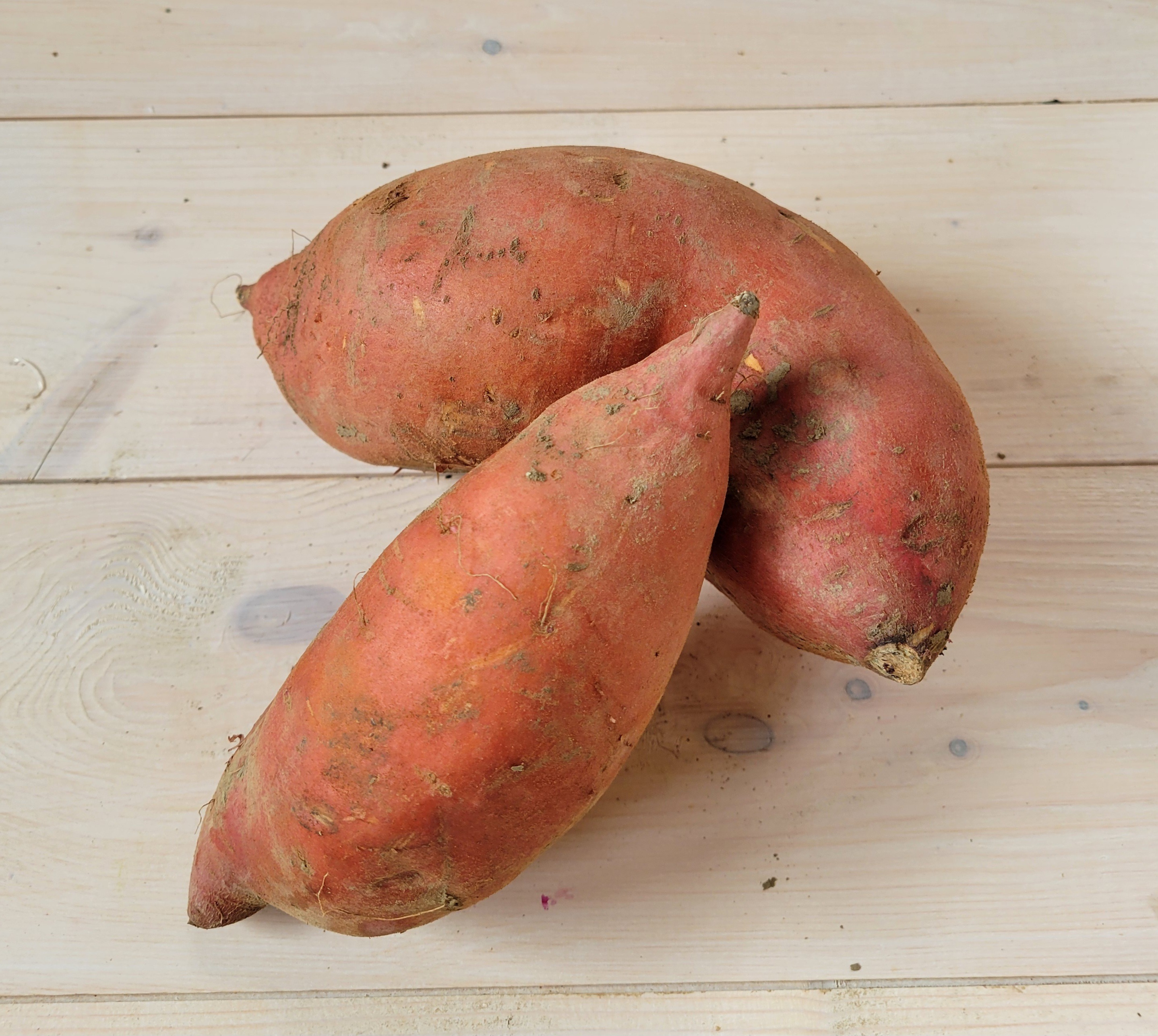 Patate douce