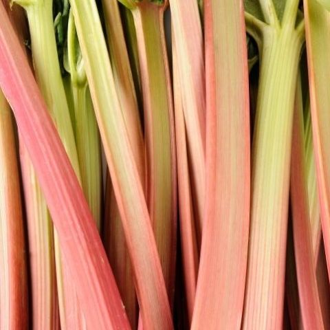 Rhubarbe - 100g