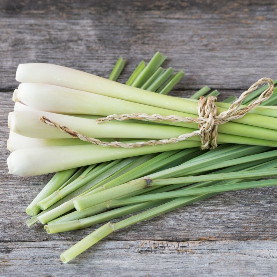 Bâton de Citronnelle de Madagascar (par 3)