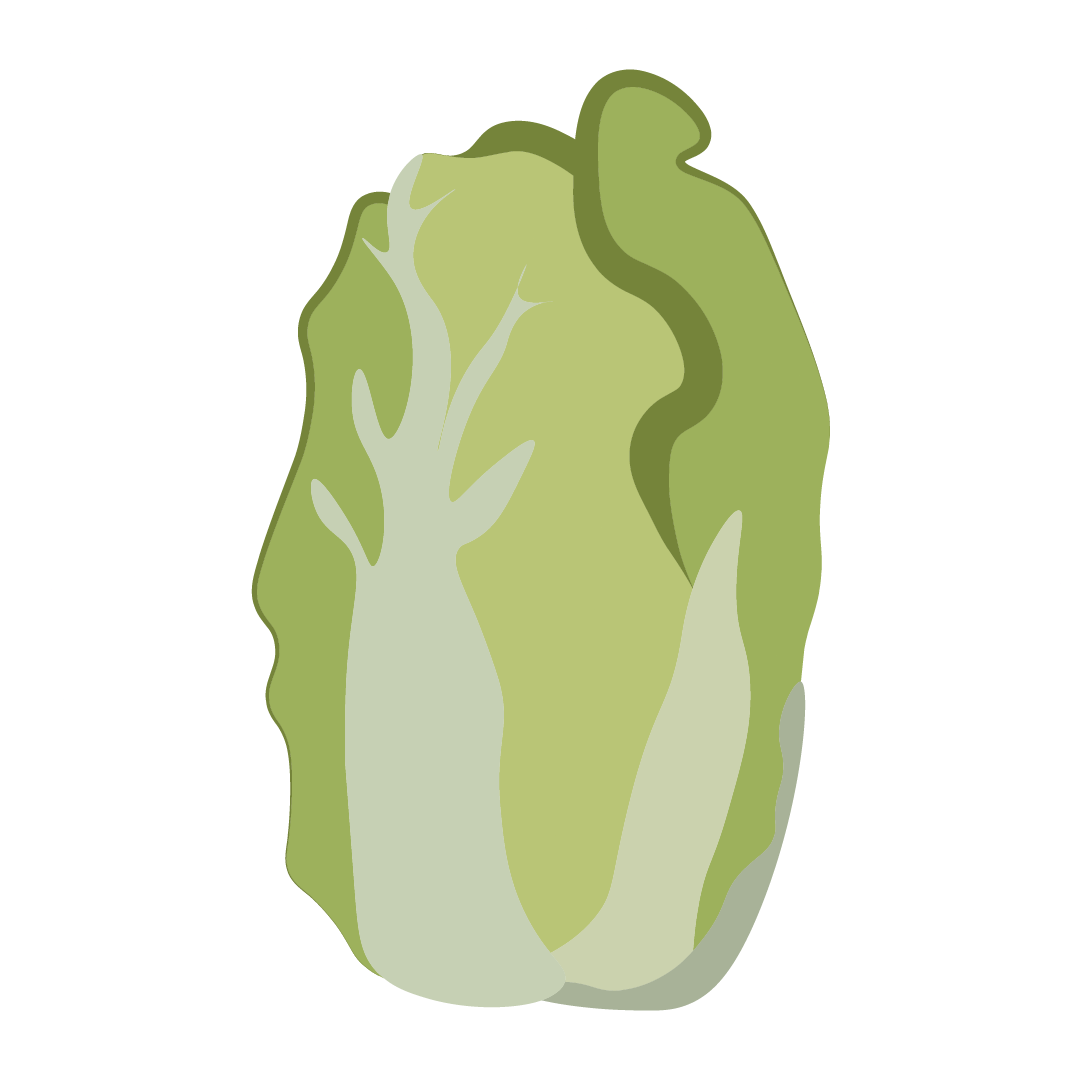 Chou chinois Pe-Tsai