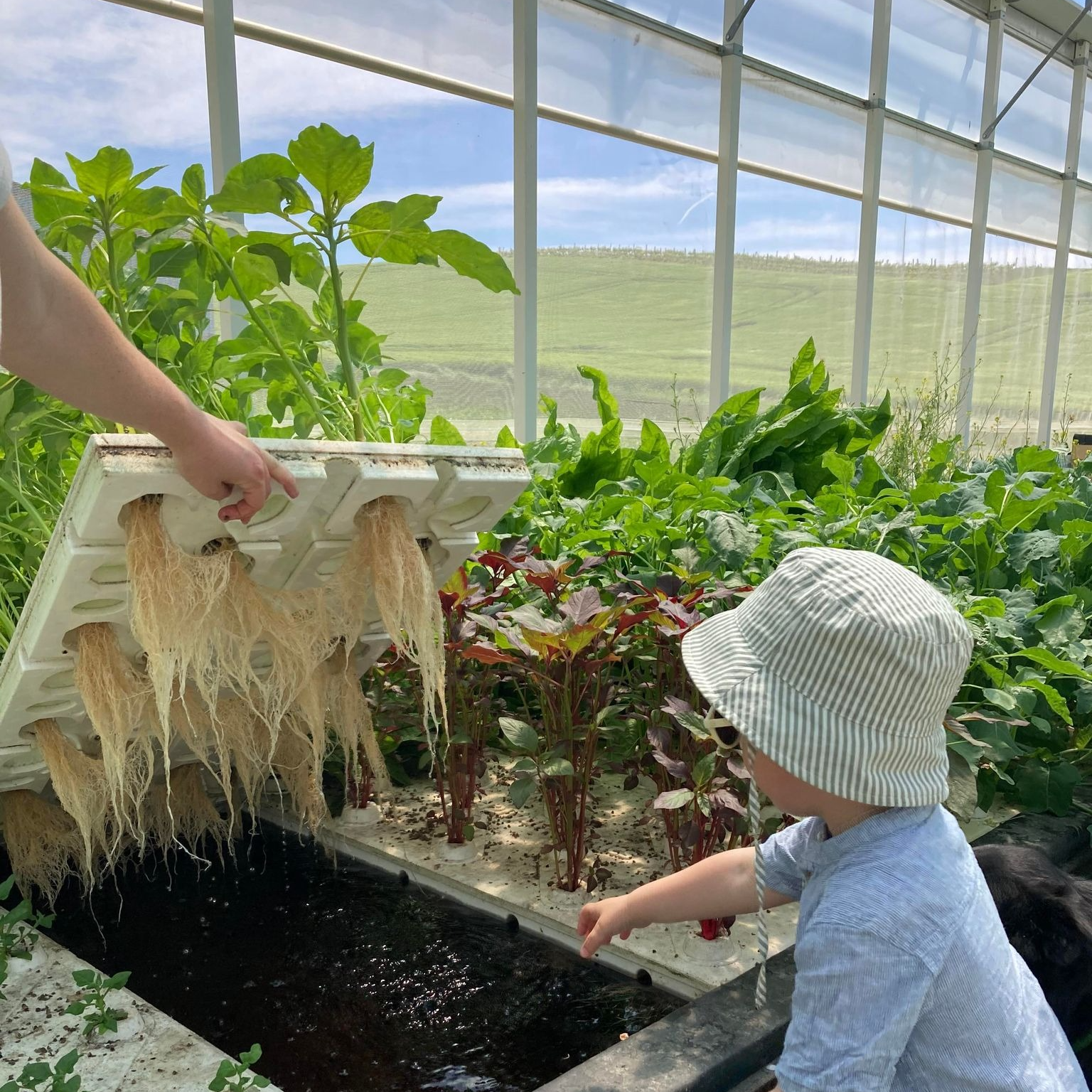 Visite guidée ENFANT (moins de 18 ans)