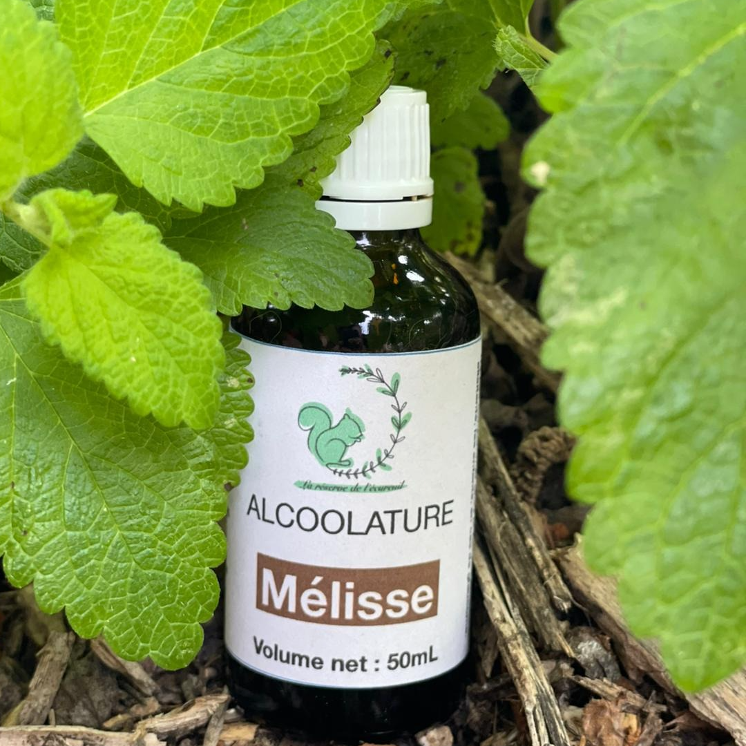 Alcoolature Mélisse