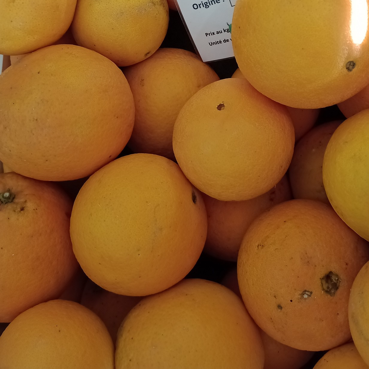 ORANGE 12KG