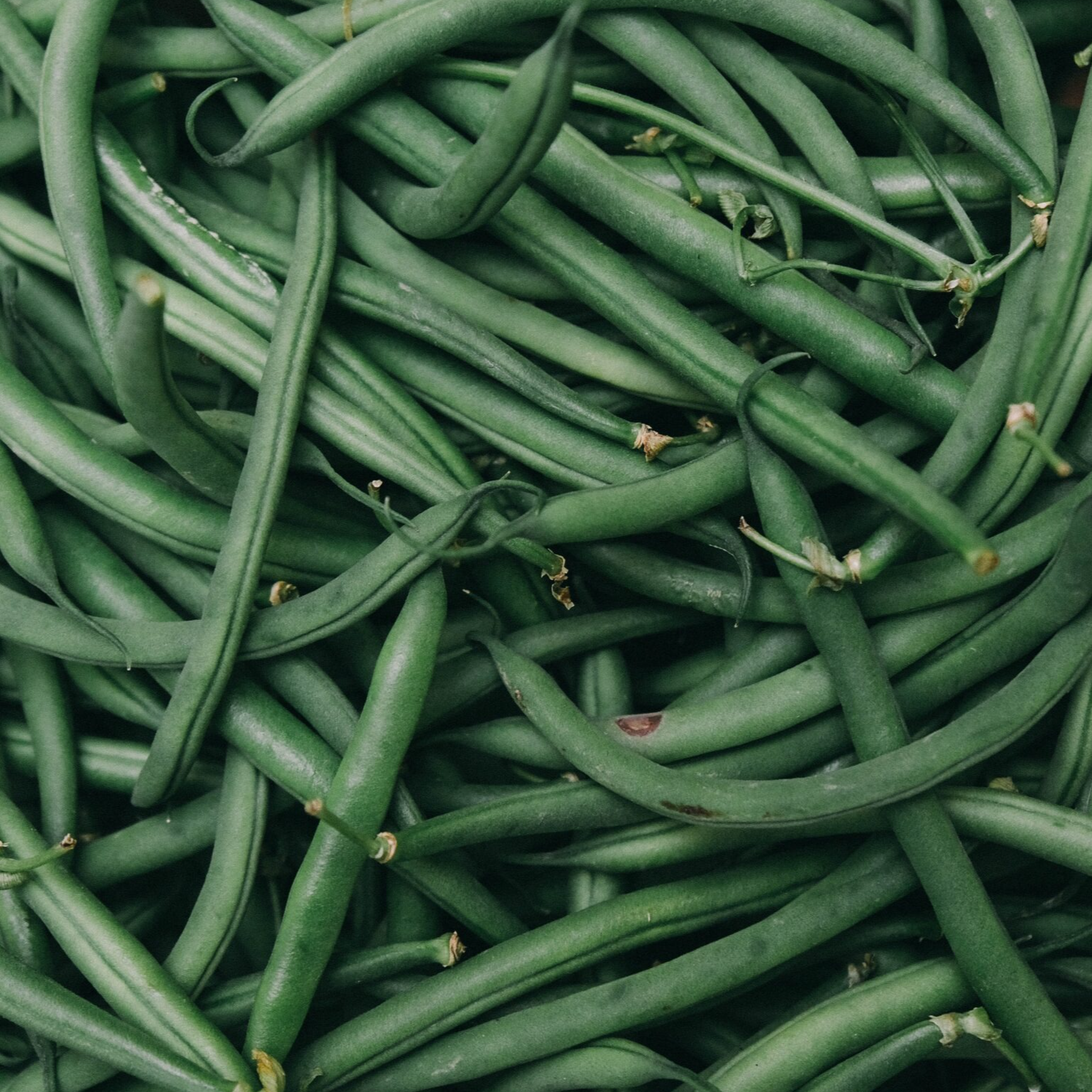 Haricot vert fin - 400g