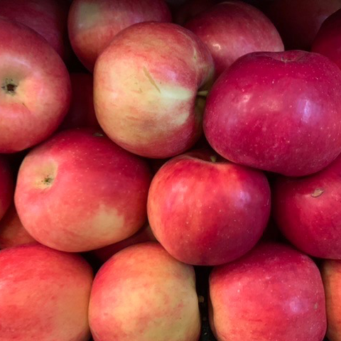 Pommes (variété gala)