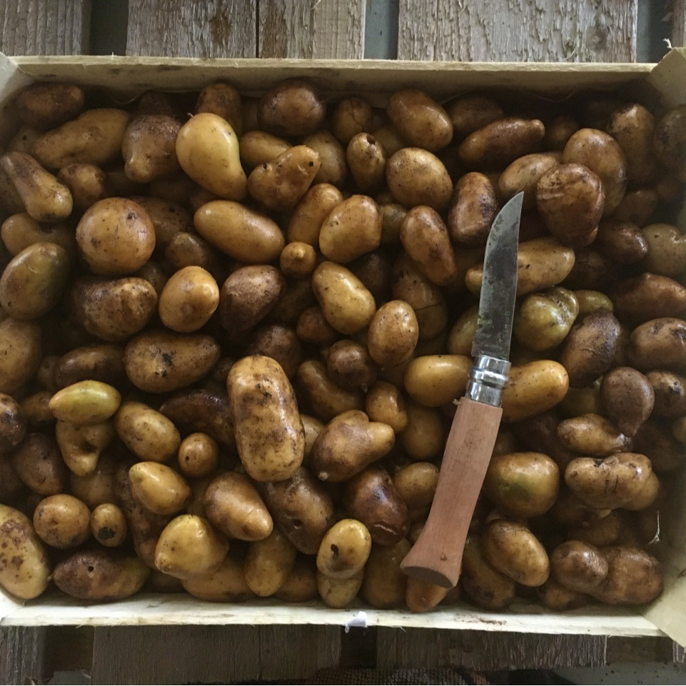 Pommes de Terre Grenaille - 500g