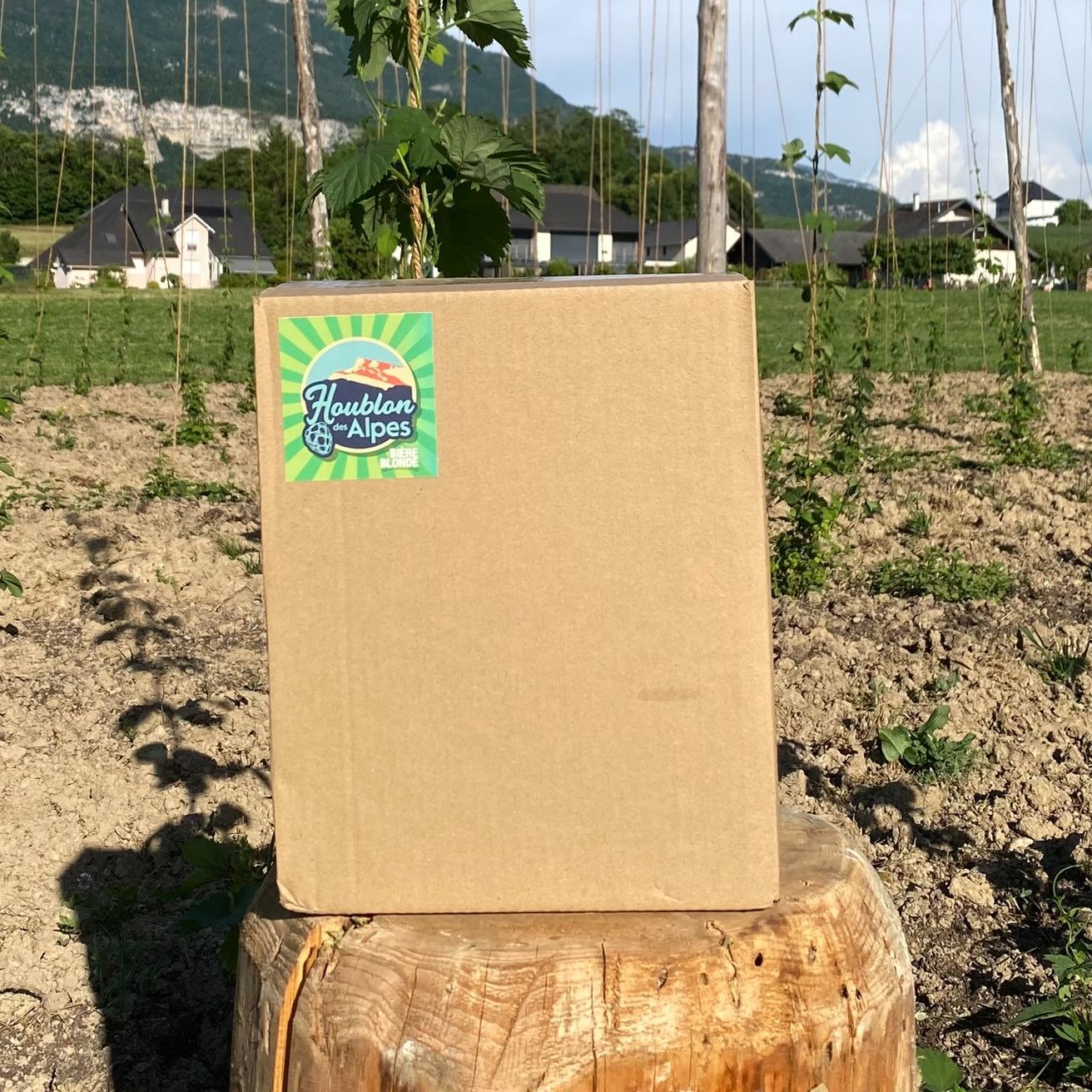 Carton de 6 Bières Blonde Bio Houblon des Alpes 75 Cl 4.8% Vol.