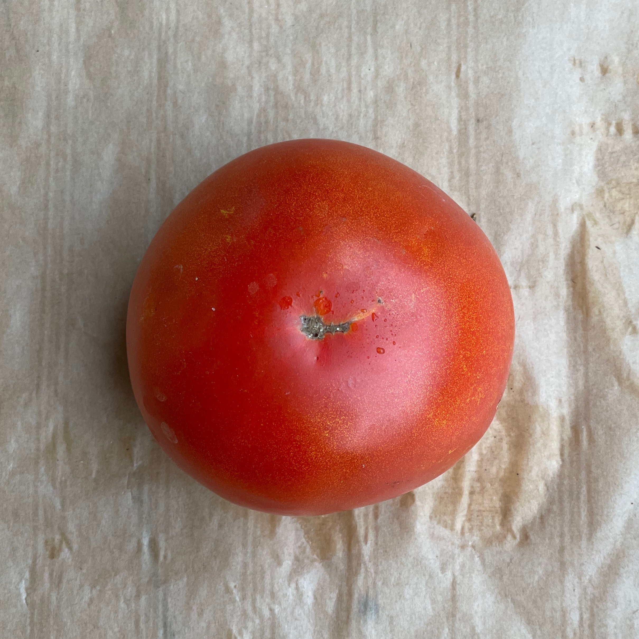 Tomate grosse 0,5kg - 0,5kg