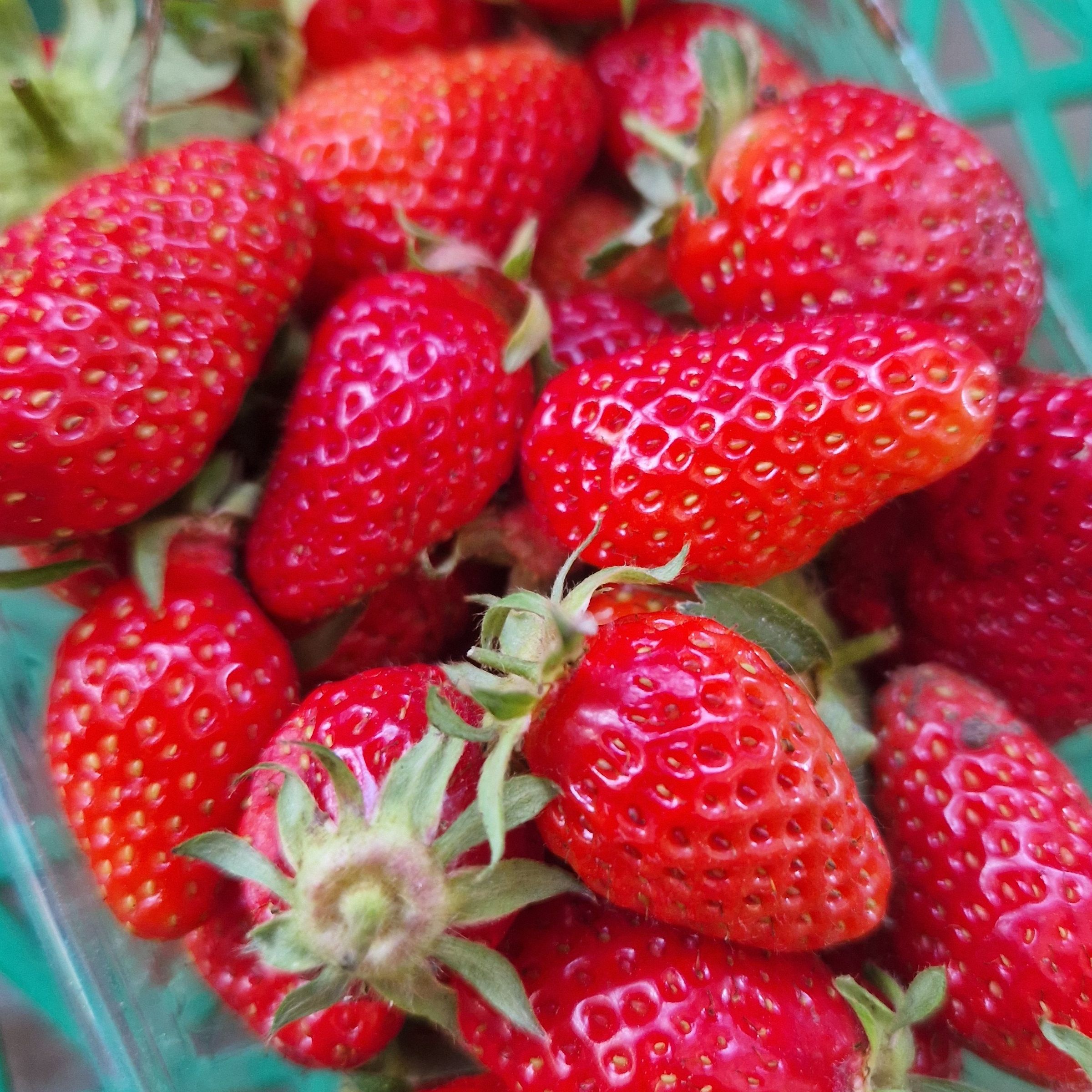 FRAISES - 250g