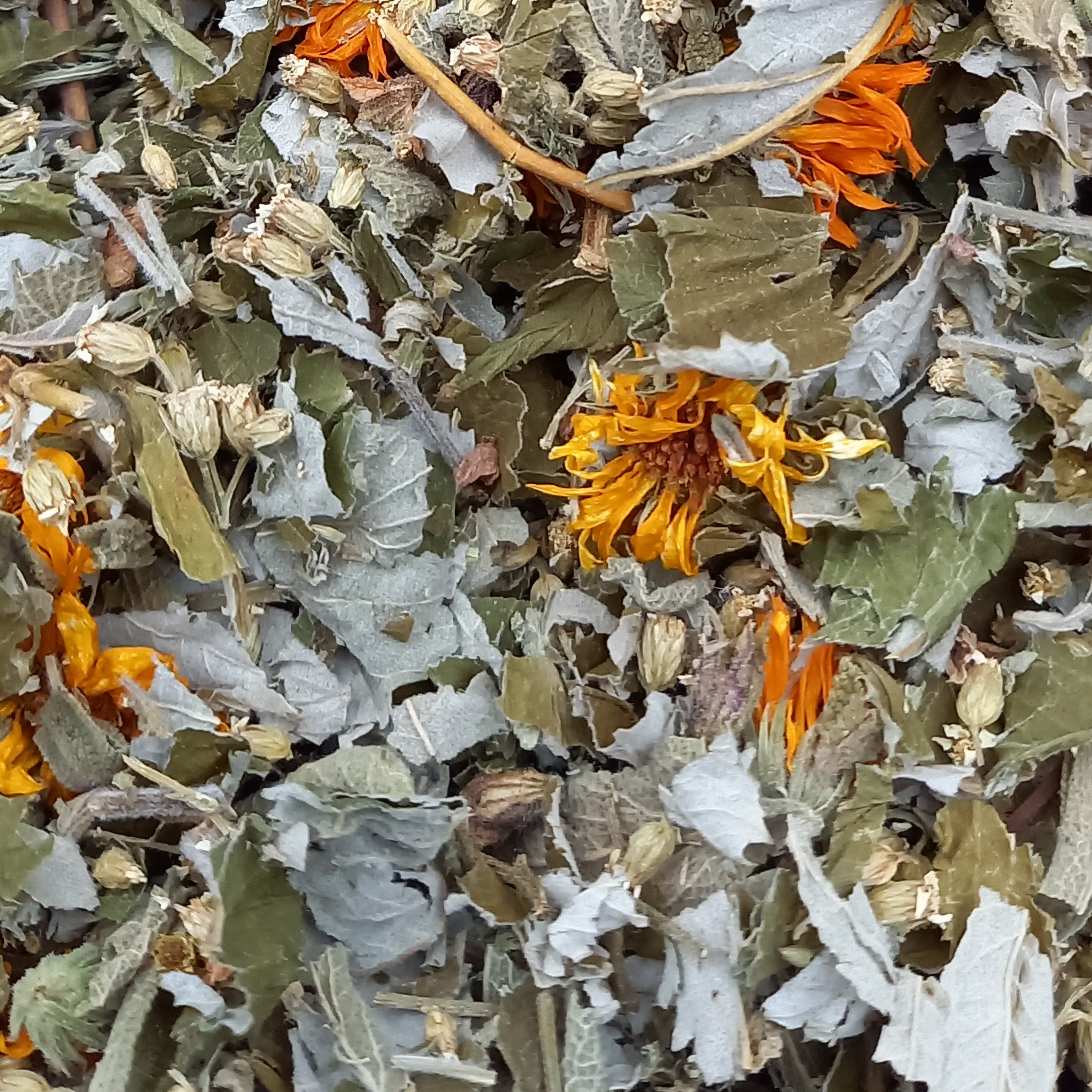 Tisane des Femmes - 20g