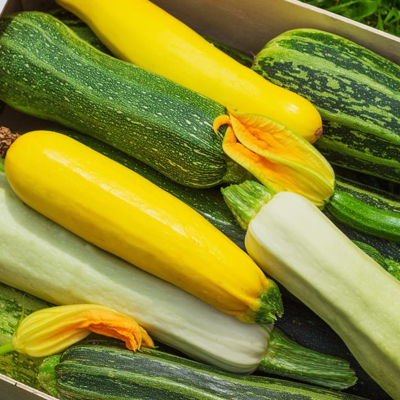 Courgette