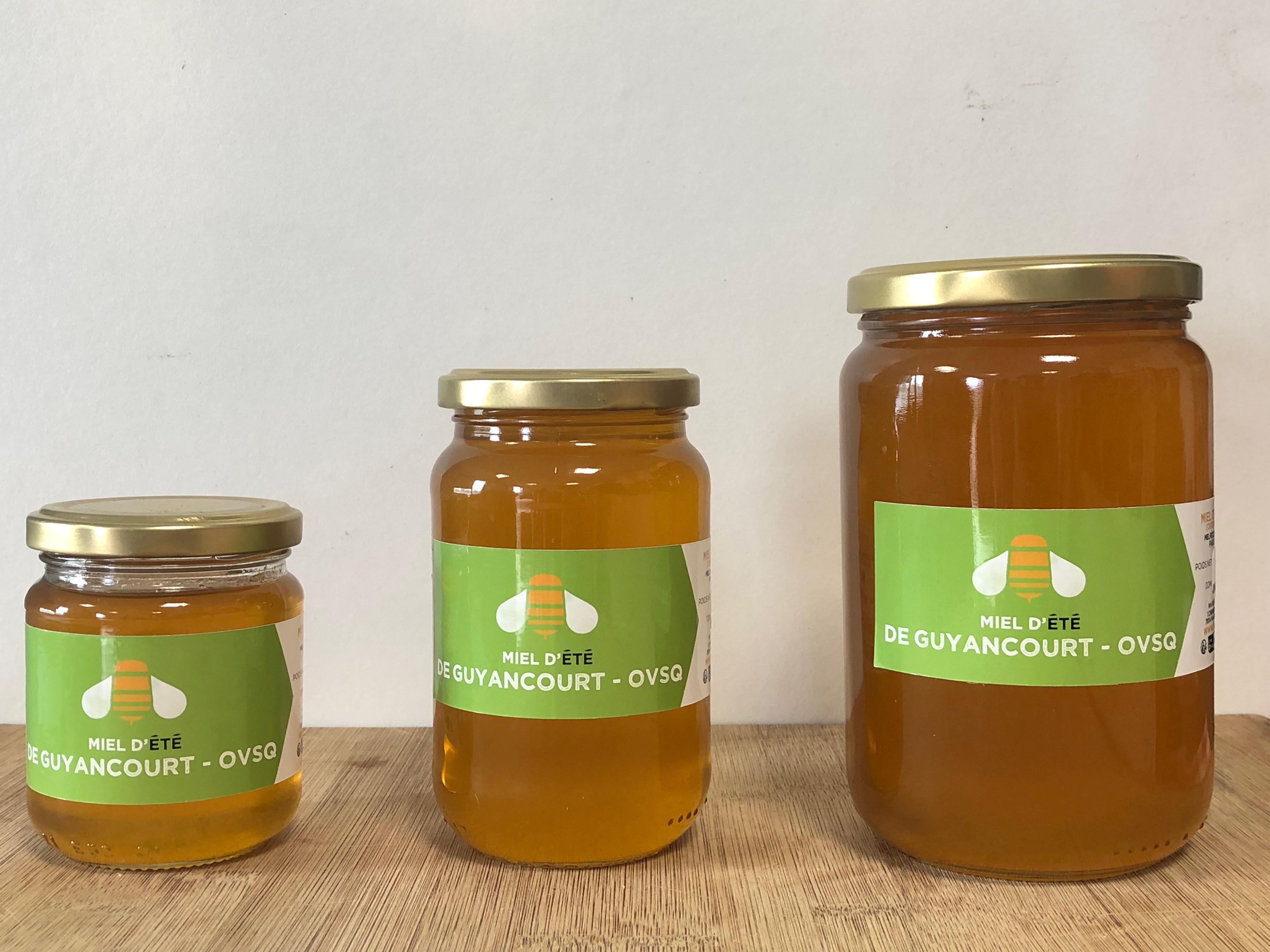 MIEL DE L’OVSQ (Guyancourt) - Fleurs d’ÉTÉ