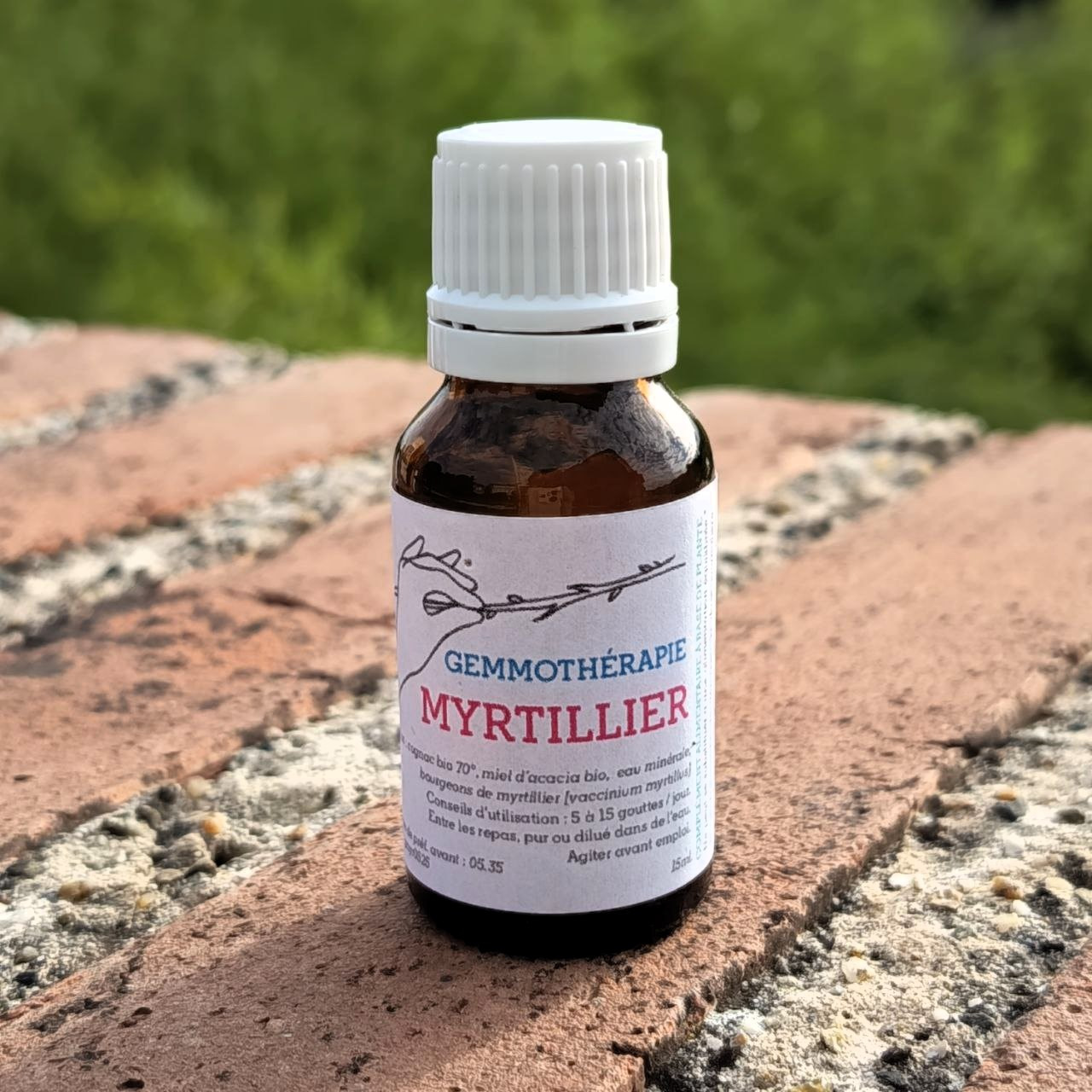 Myrtillier • Vue, Microcirculation & Draineur - 15ml