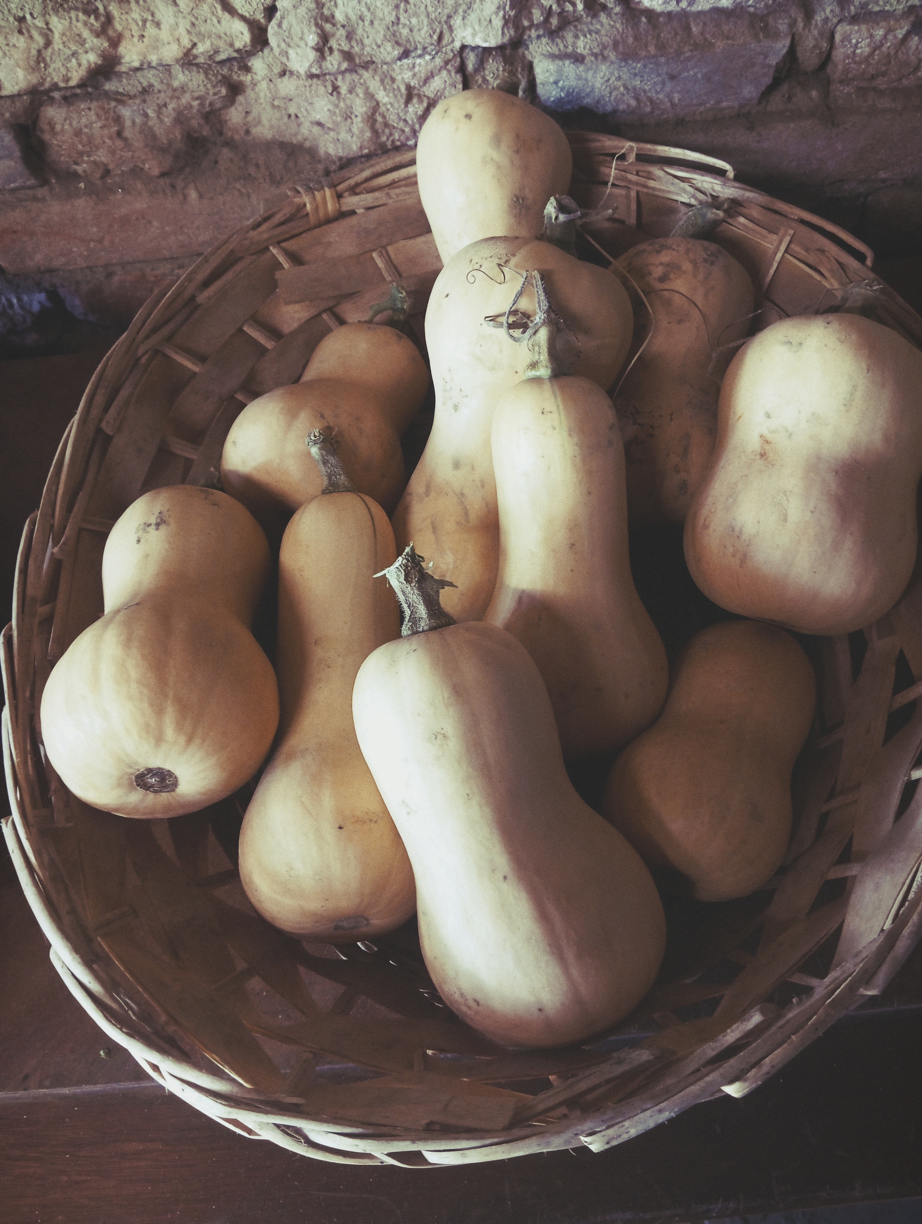 Mini butternut