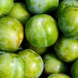 Prune Reine claude 0,5kg - 0,5kg