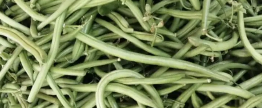 haricots verts sachet 500g - 500g
