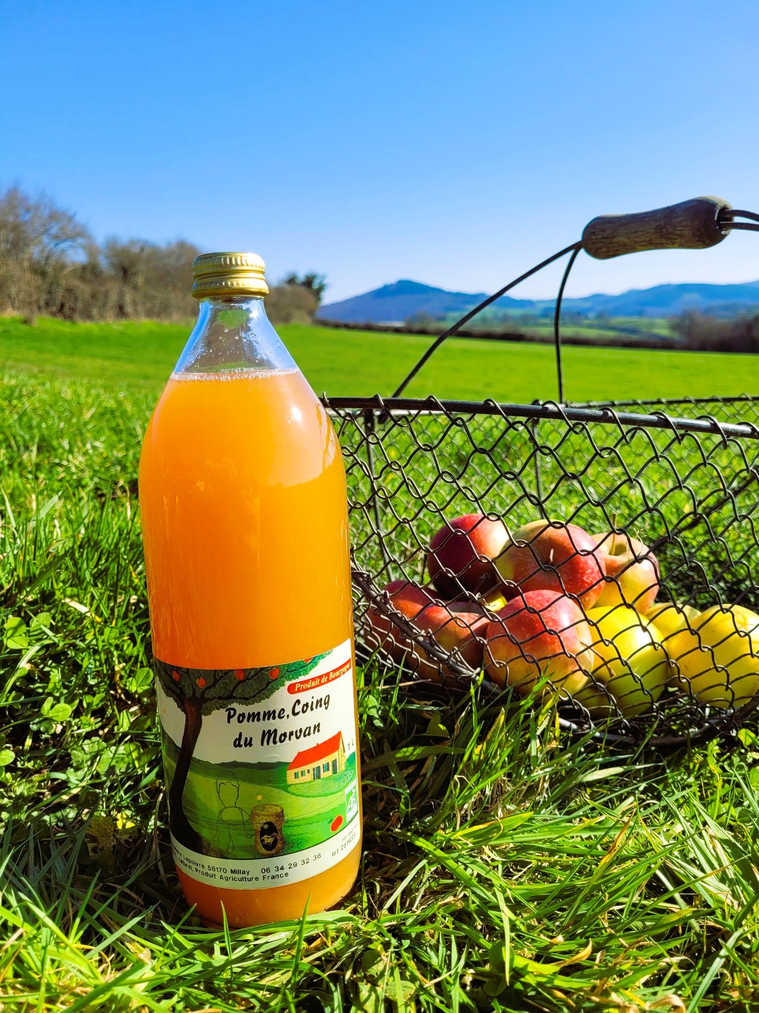 Jus pomme coing - 1l