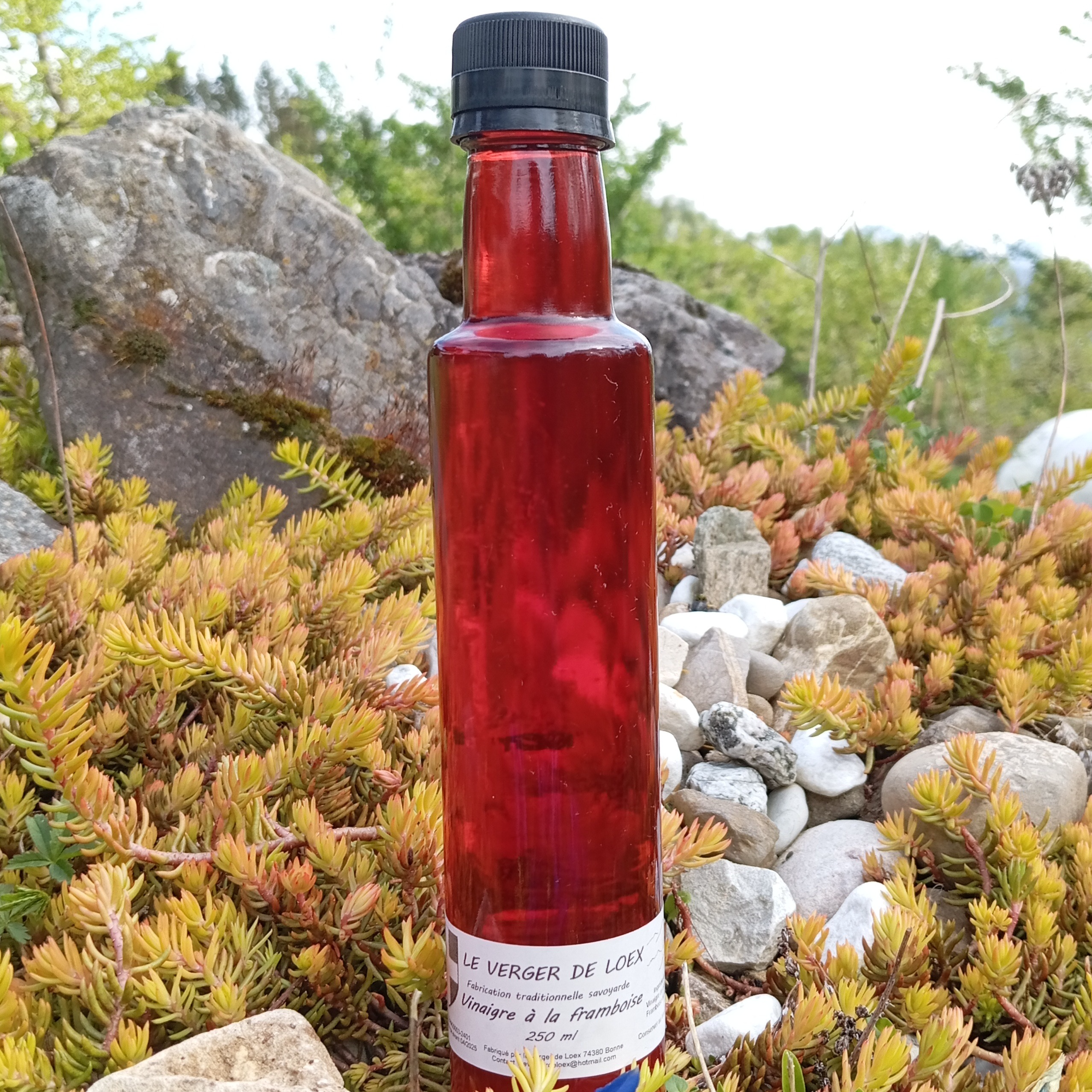 Vinaigre aux framboises BIO du verger - 250ml - 250ml