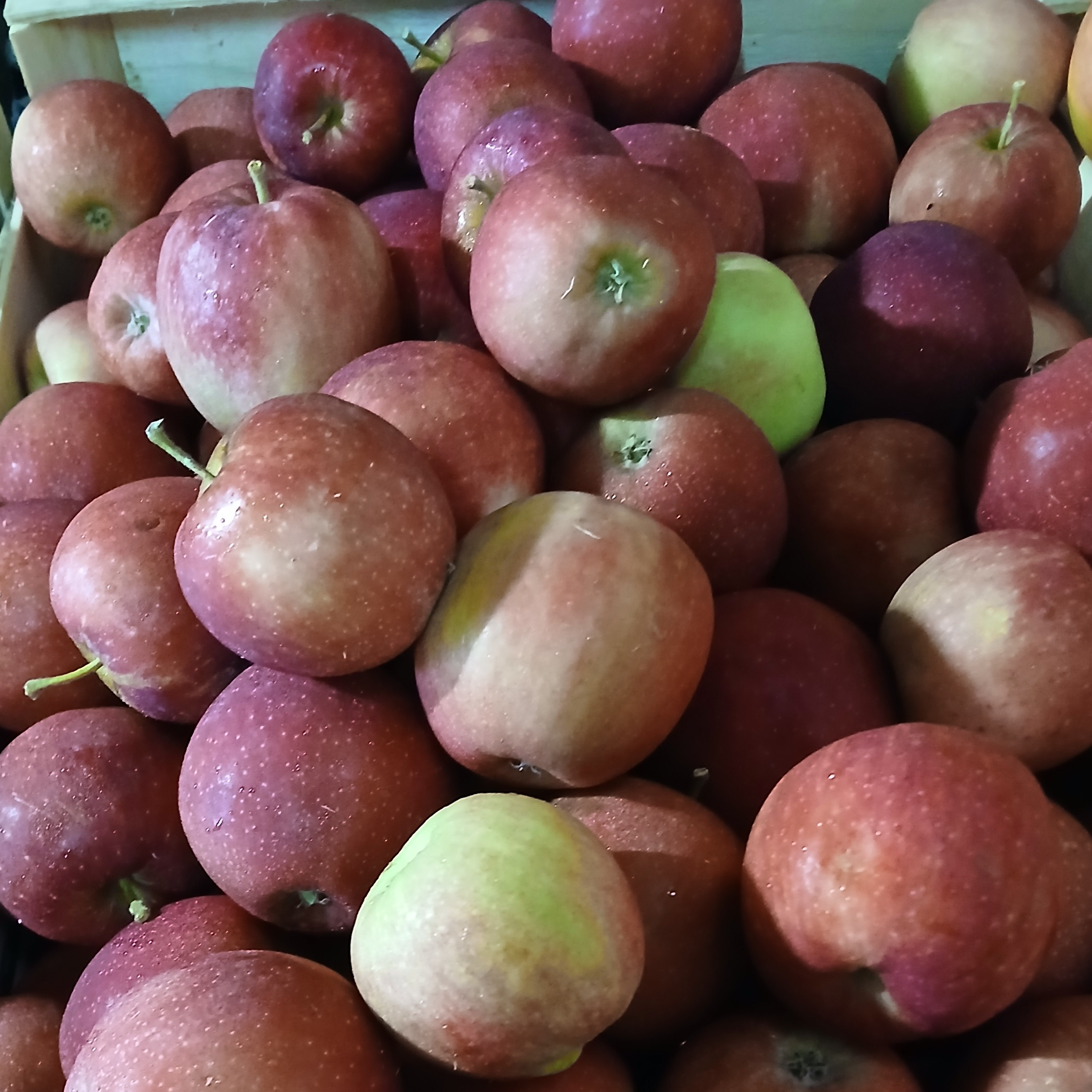 Pomme Variété Jonagold