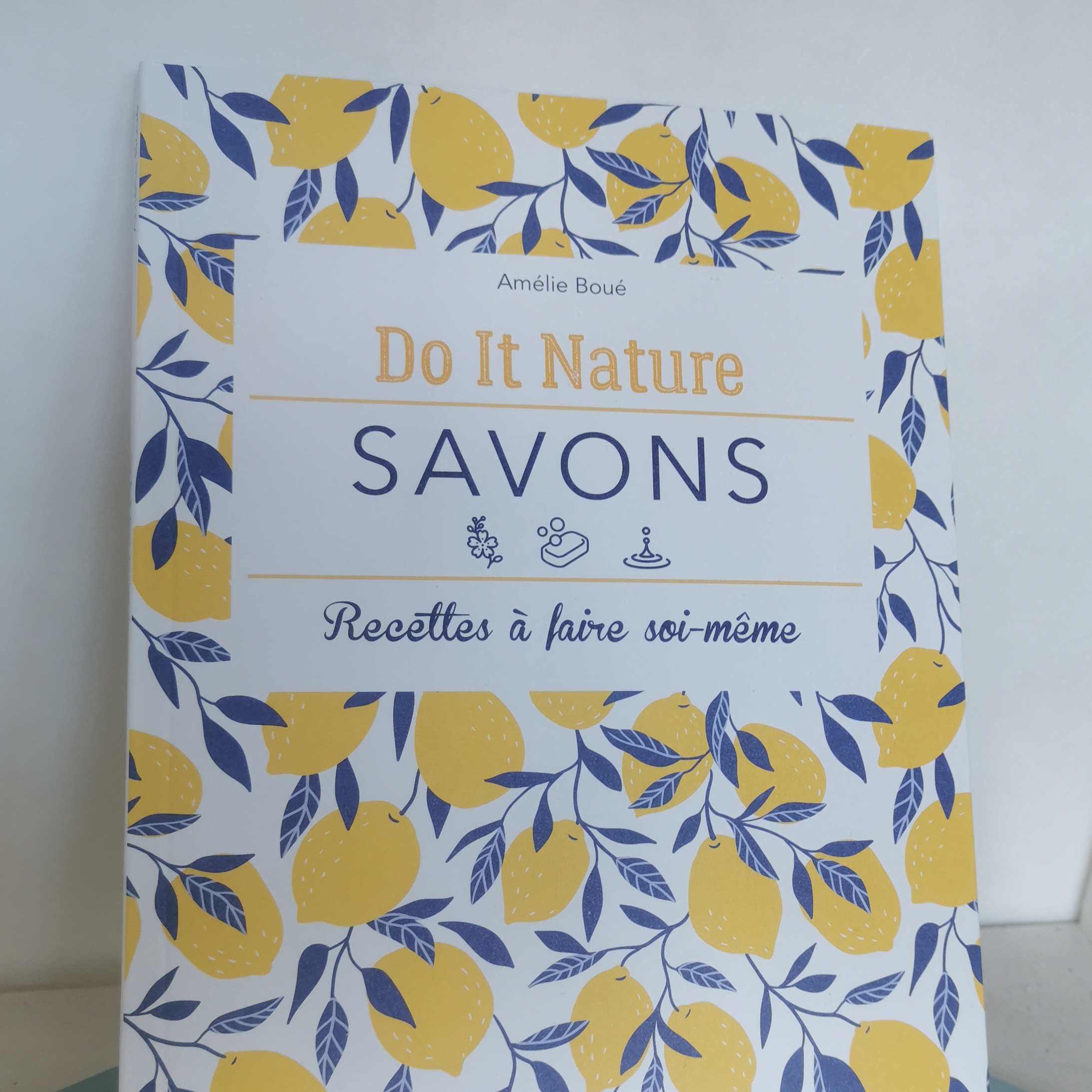 Livre Diy Savons - 210g