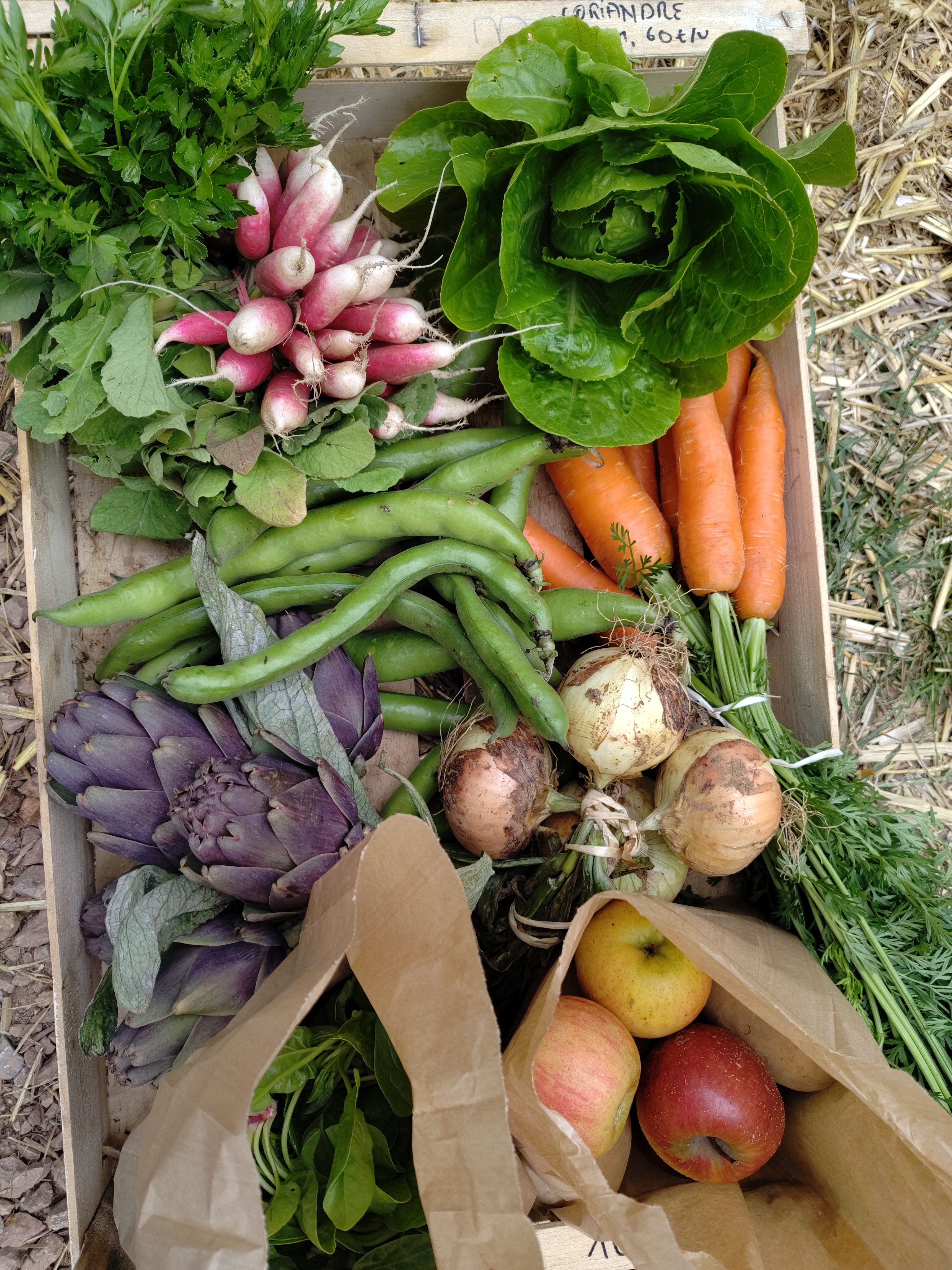 Panier de fruits & légumes du moment 20€
