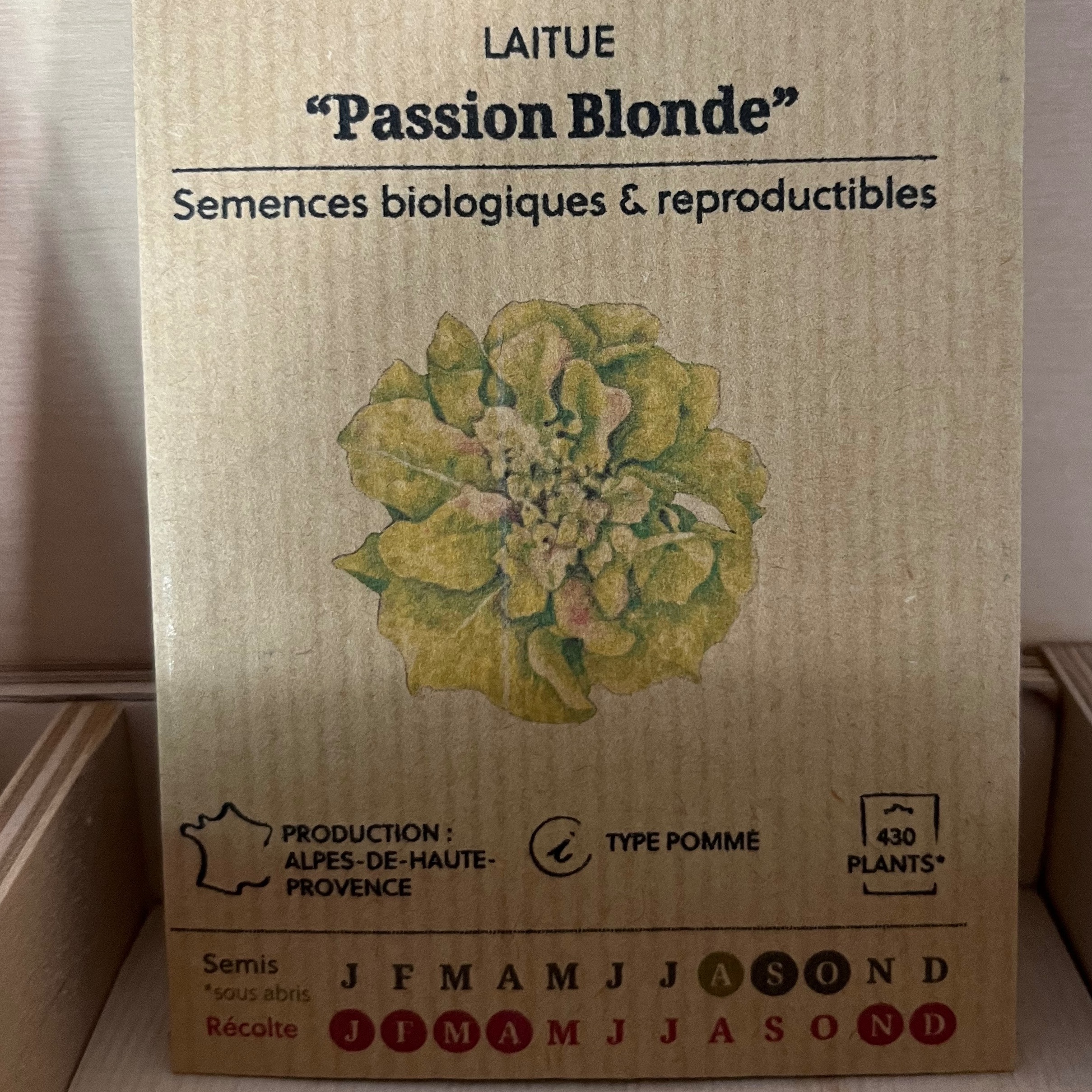 Laitue "Passion Blonde"