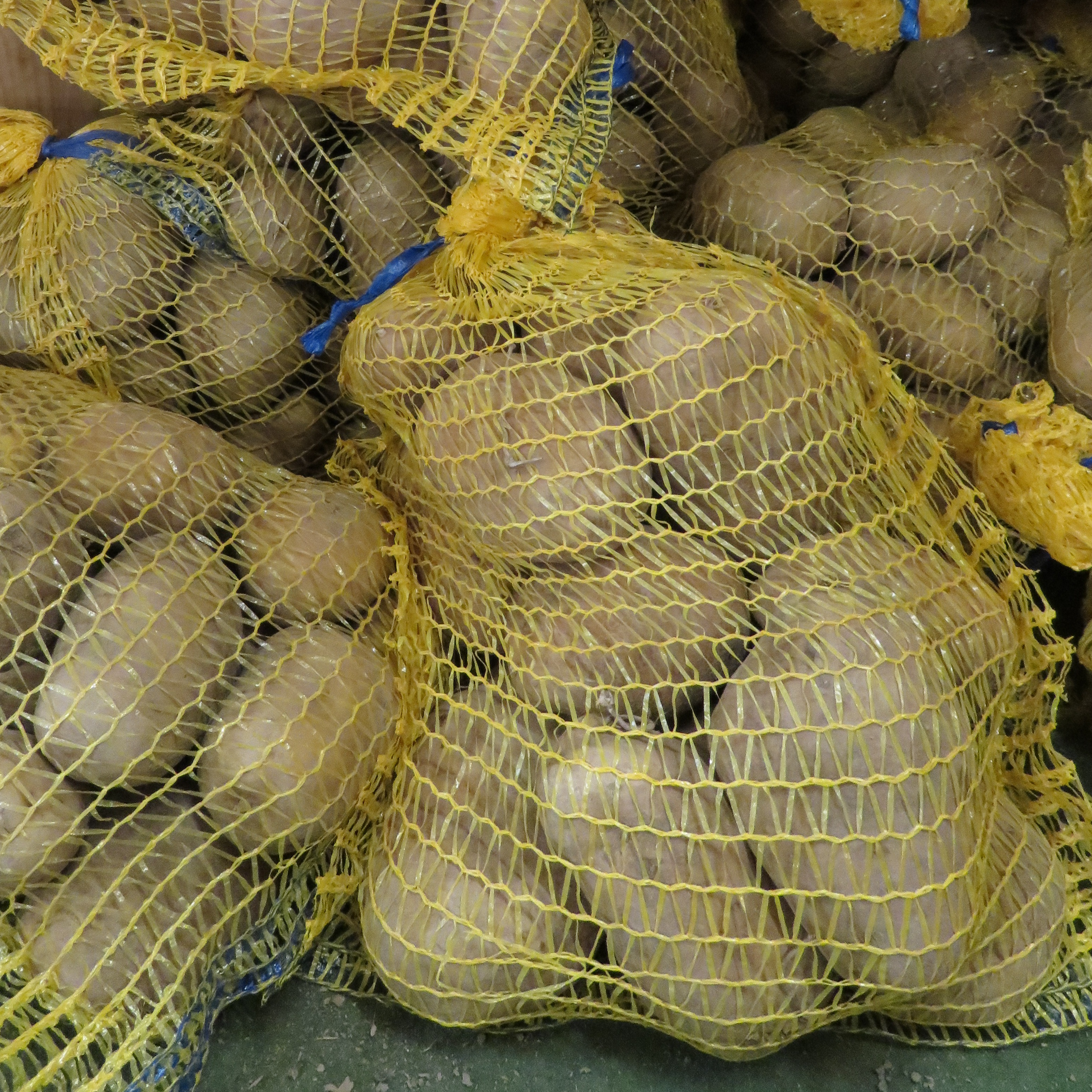 Pomme de terre "Agria" Bio - Sac de 3kg