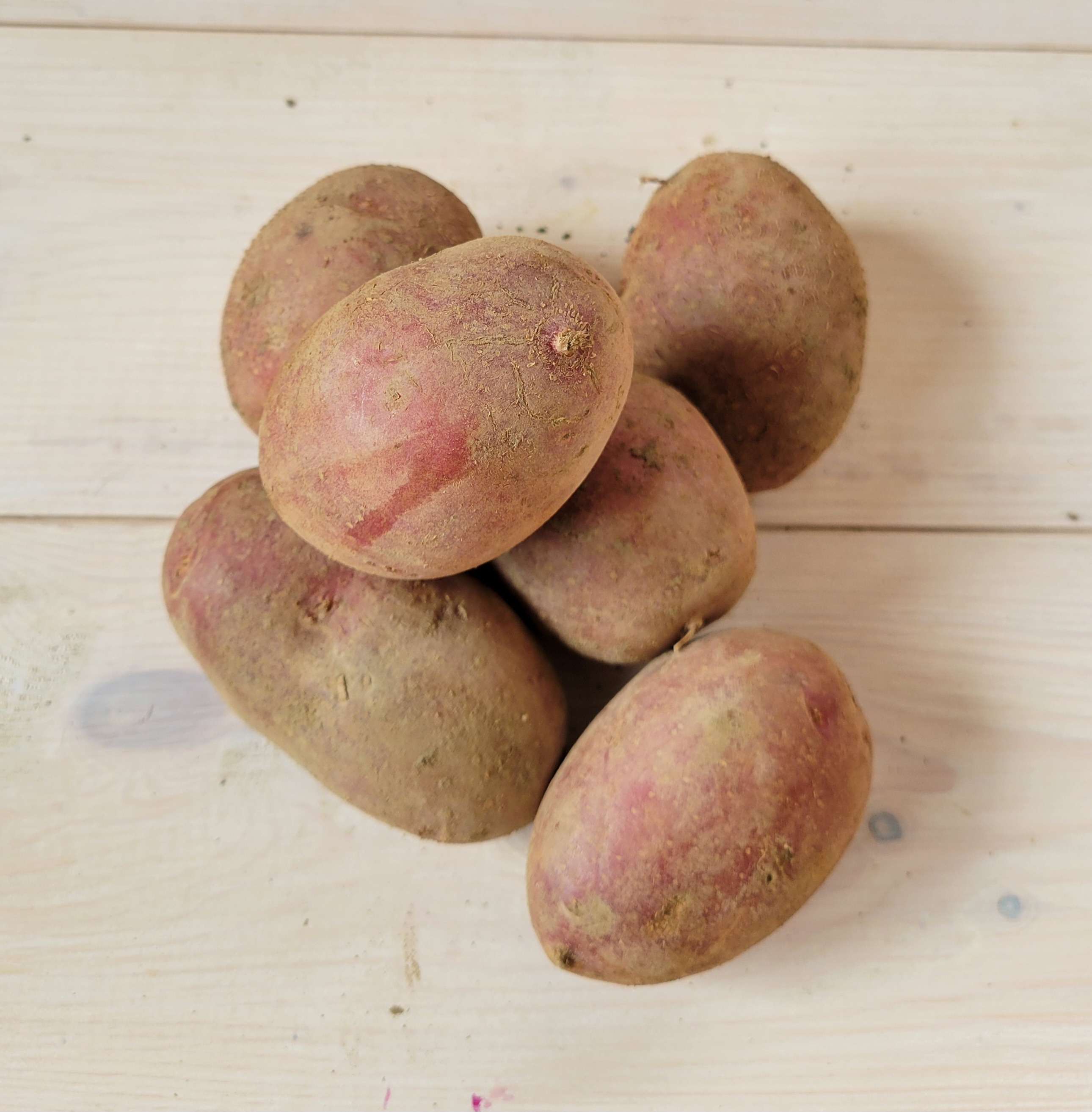 Pomme de terre polyvalente en filet de 5kg
