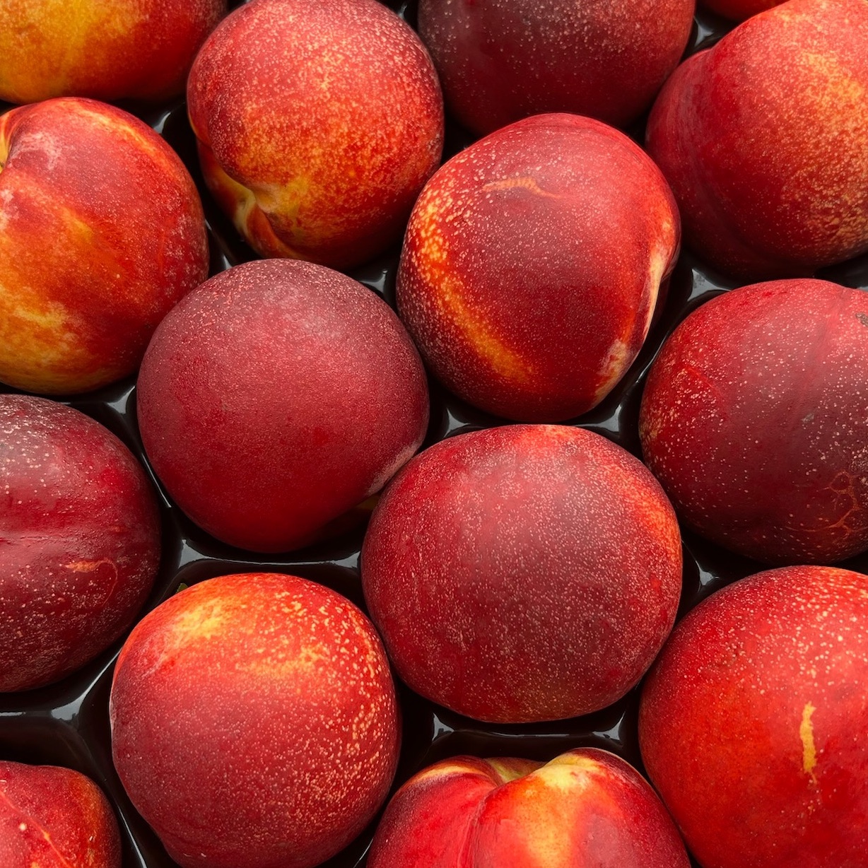 Nectarine jaune