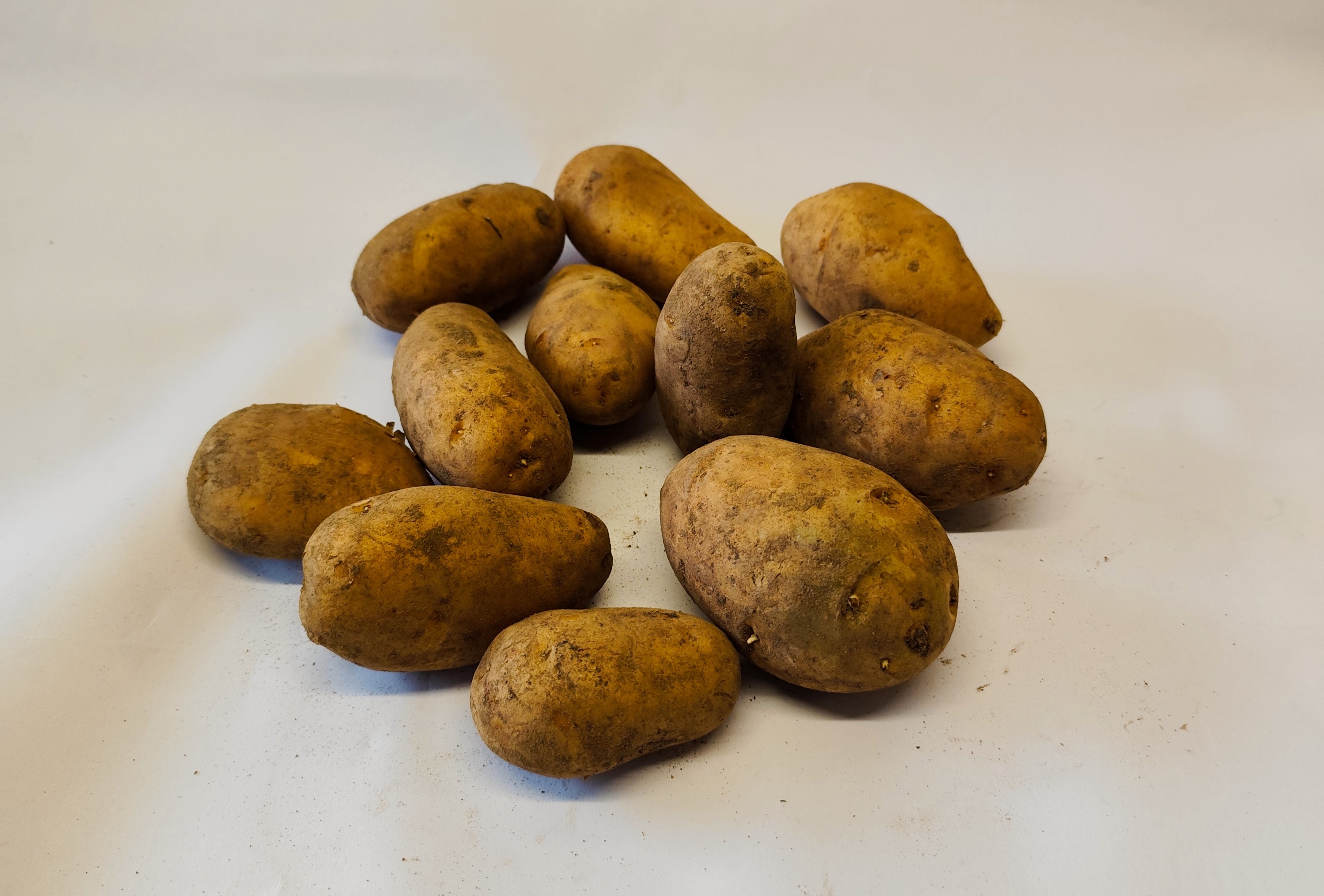 Pomme de Terre - 0,5kg